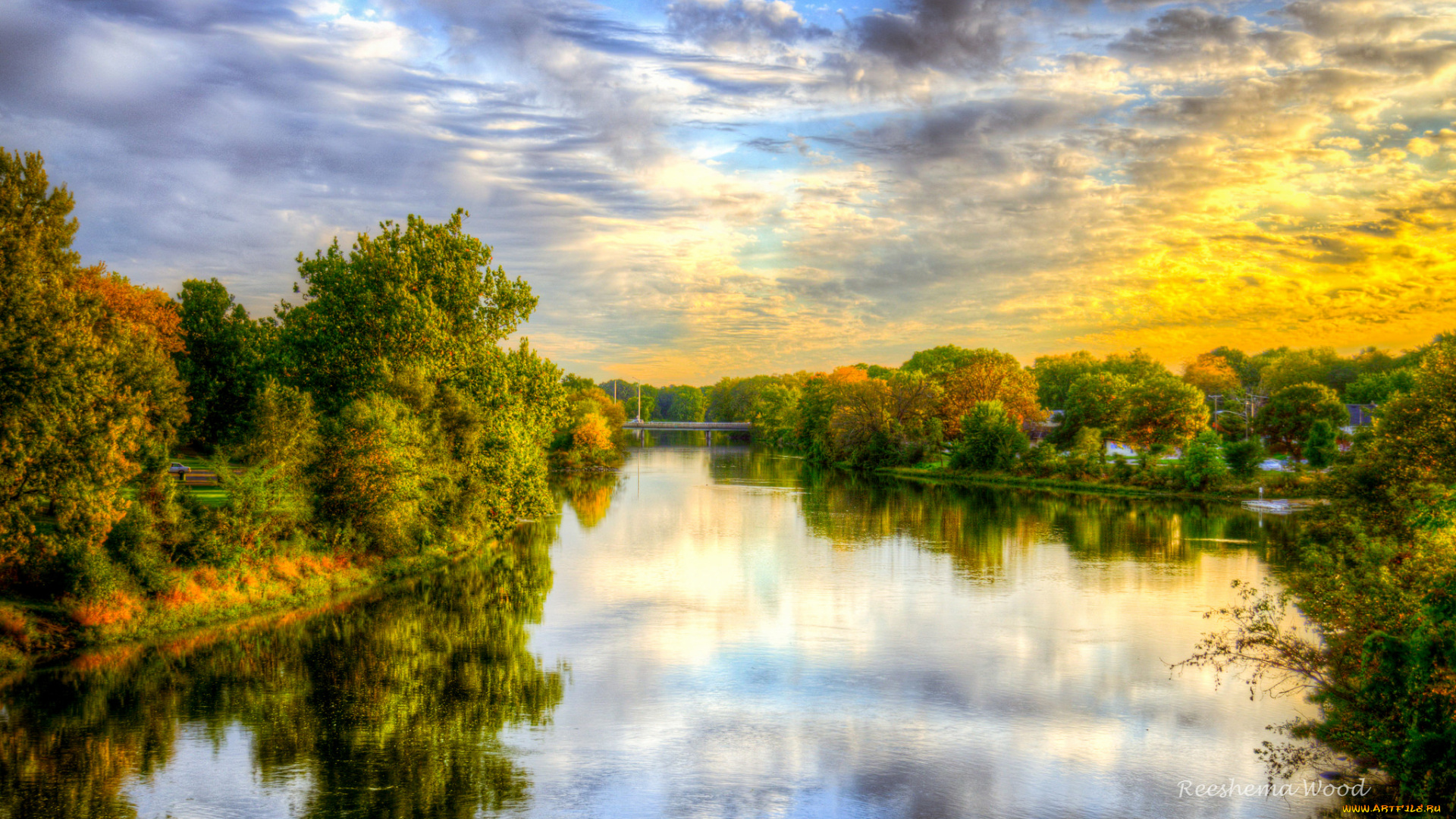 природа, реки, озера, река, лес