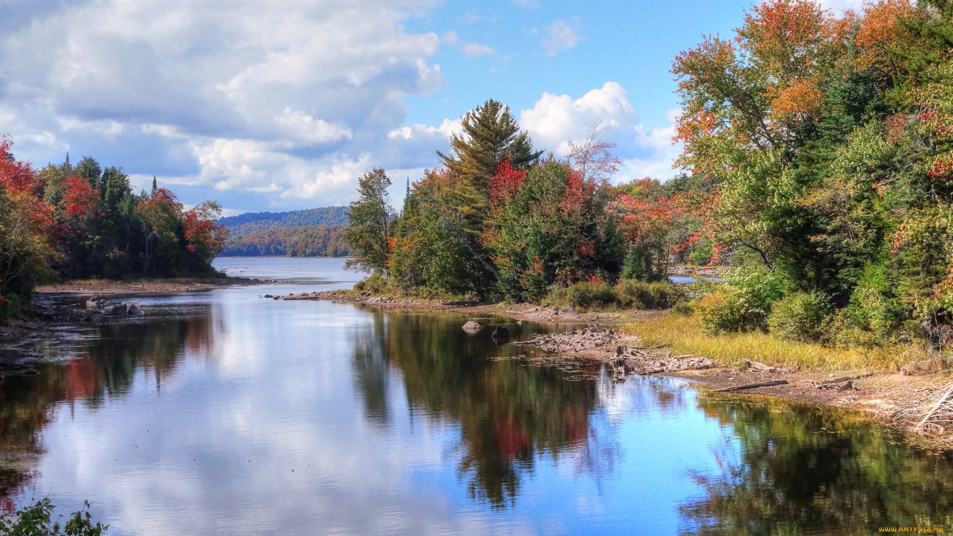 природа, реки, озера, река, лес