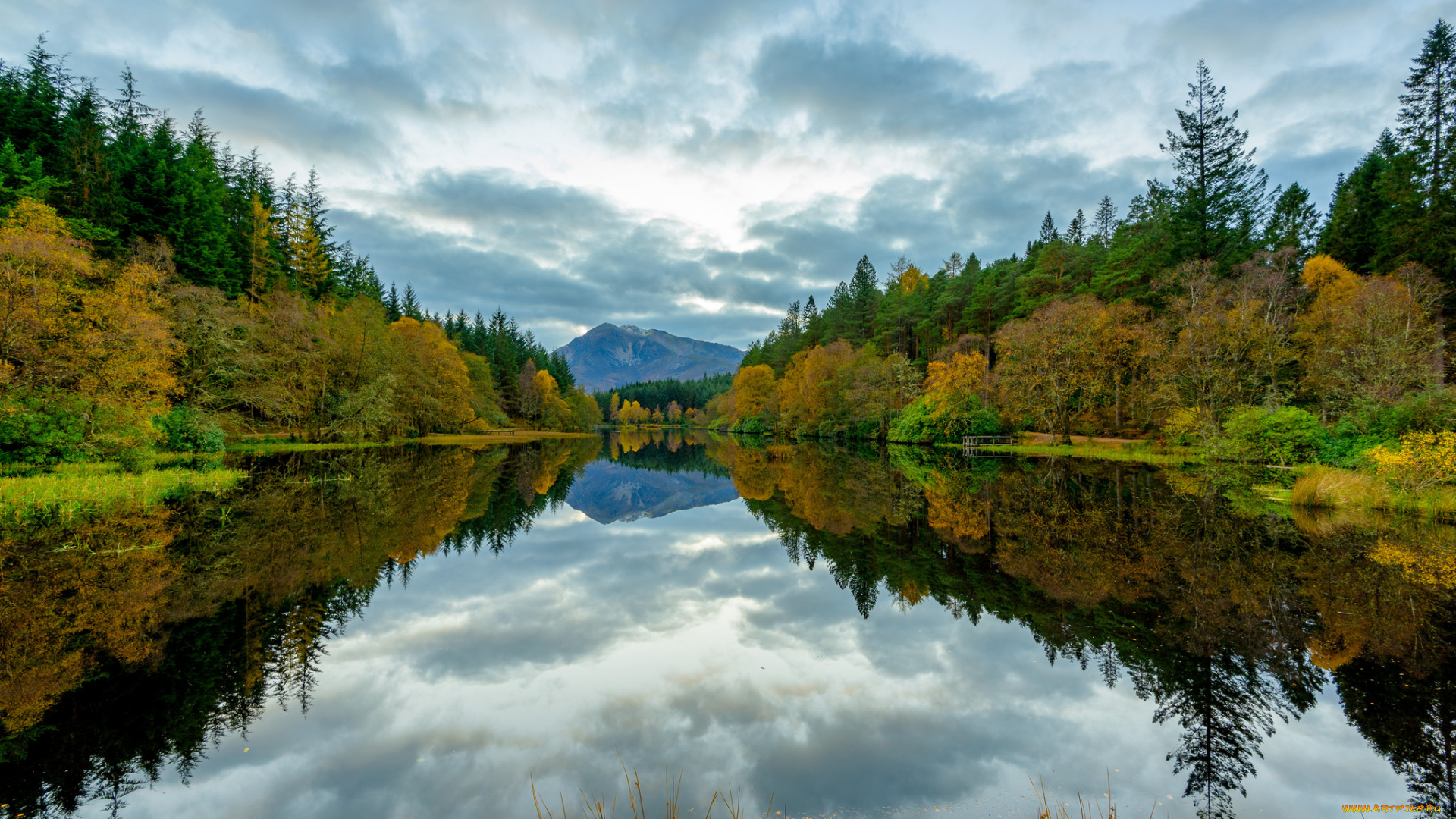 природа, реки, озера, река, лес