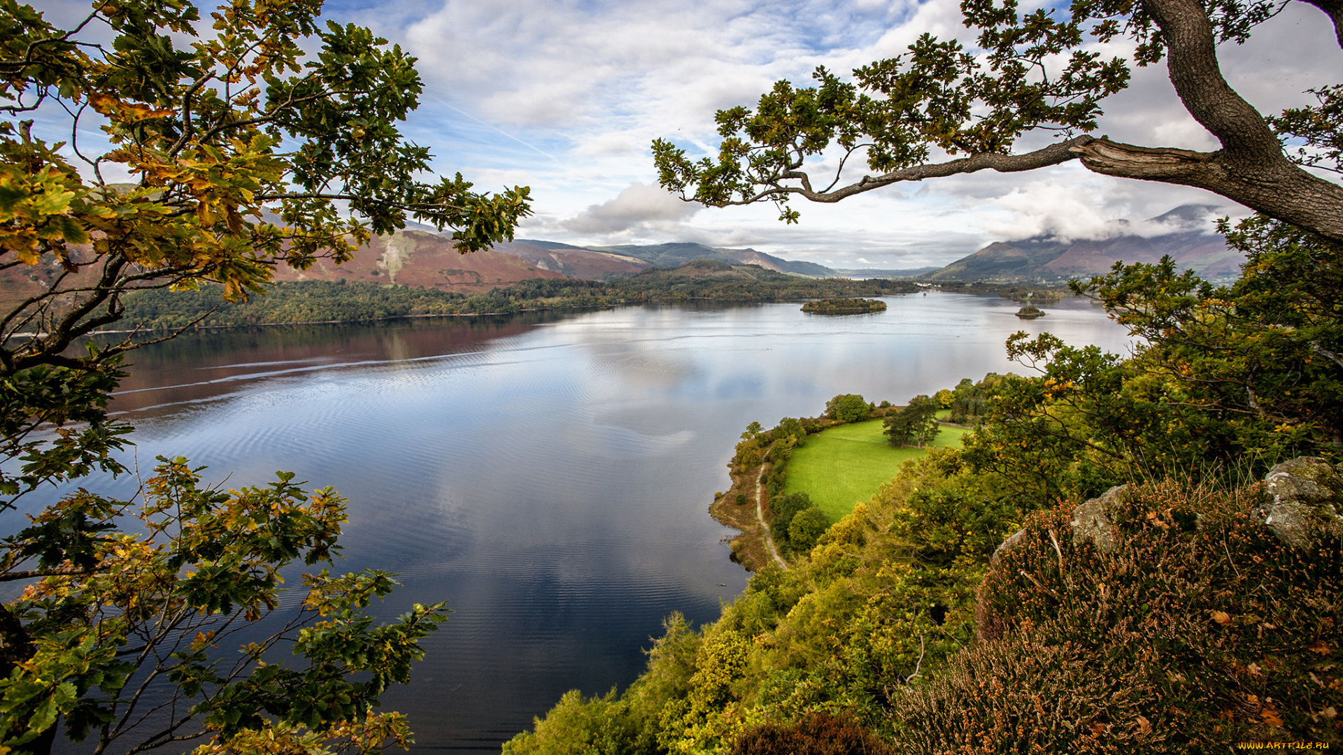 природа, реки, озера, река, лес