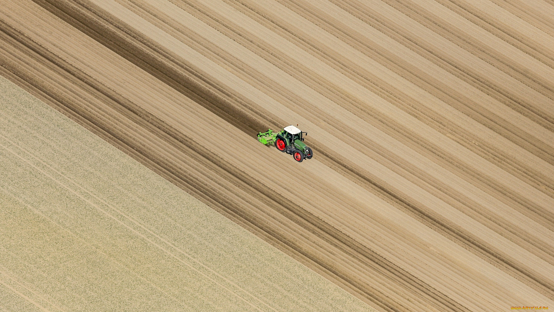 техника, тракторы, трактор, поле