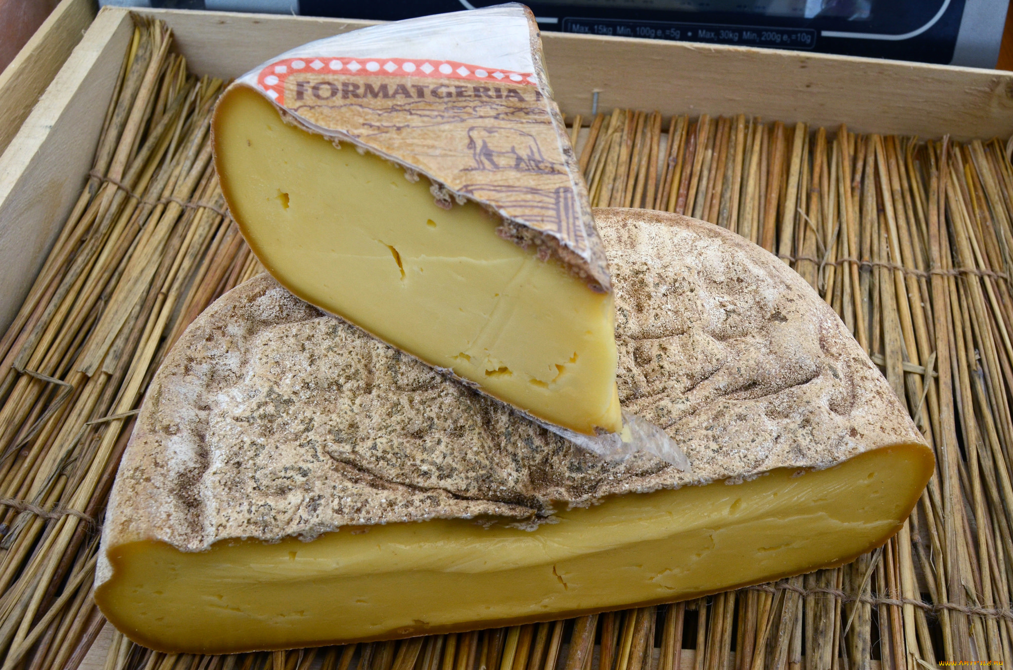 еда, сырные, изделия, сыр