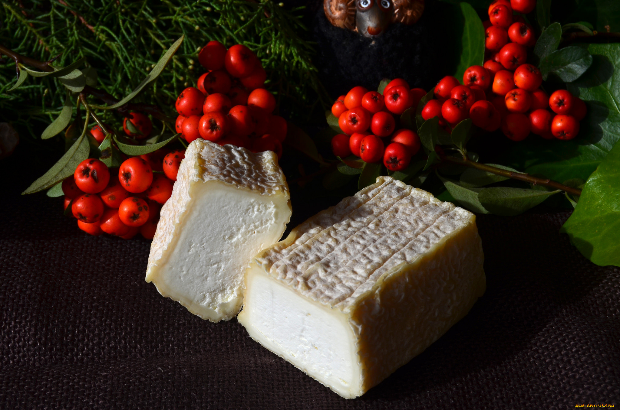 еда, сырные, изделия, сыр