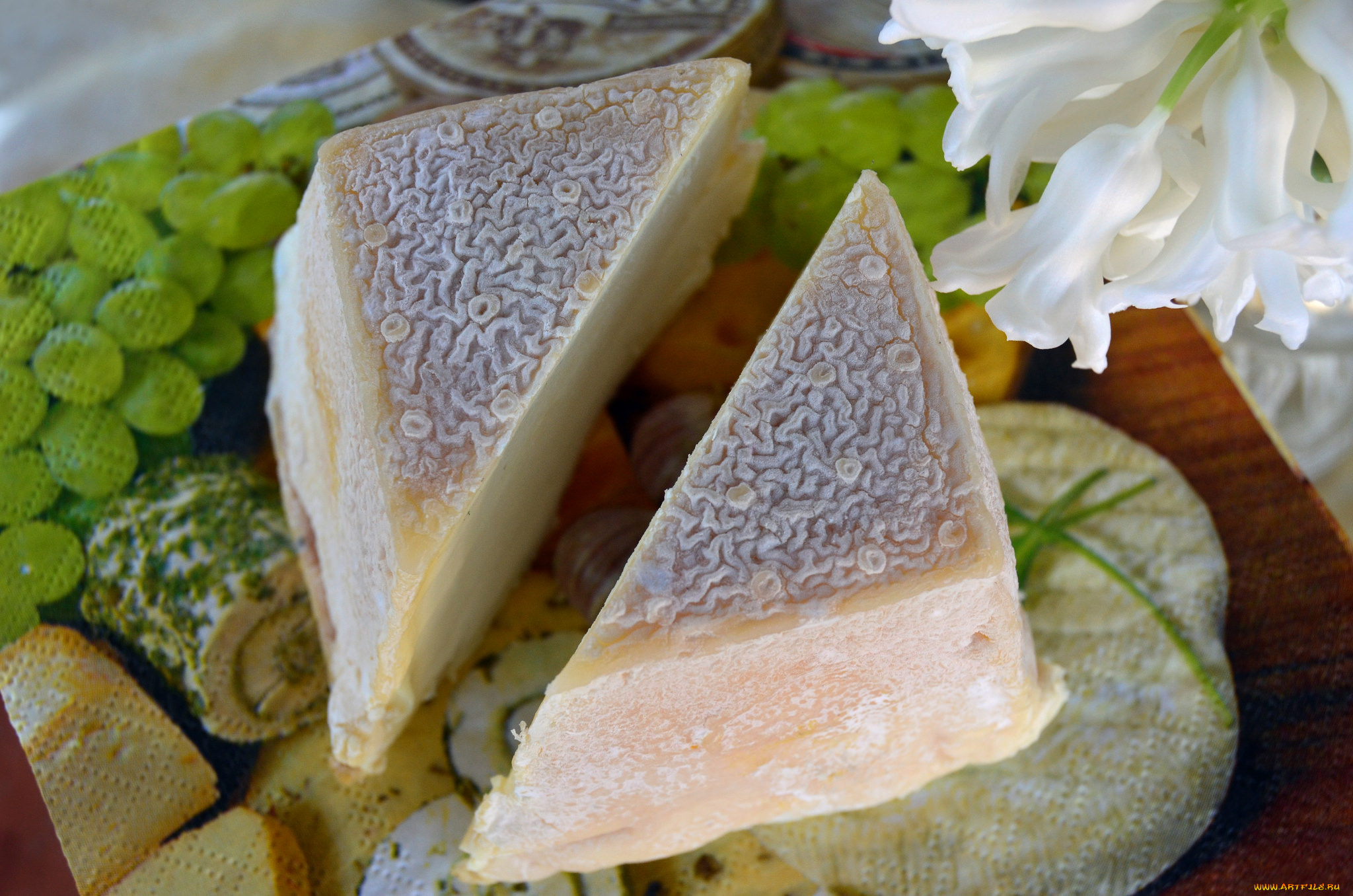 еда, сырные, изделия, сыр
