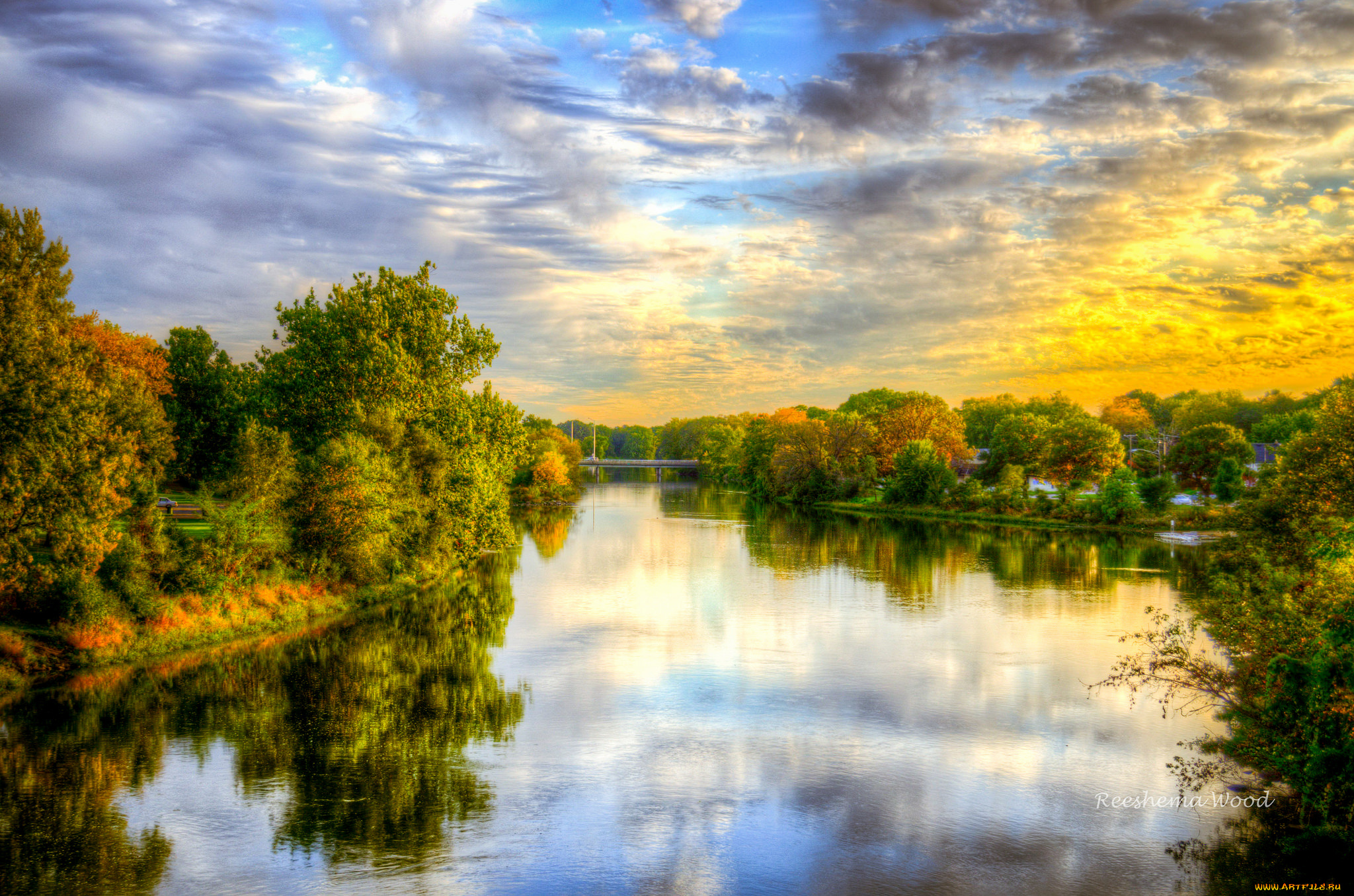 природа, реки, озера, река, лес