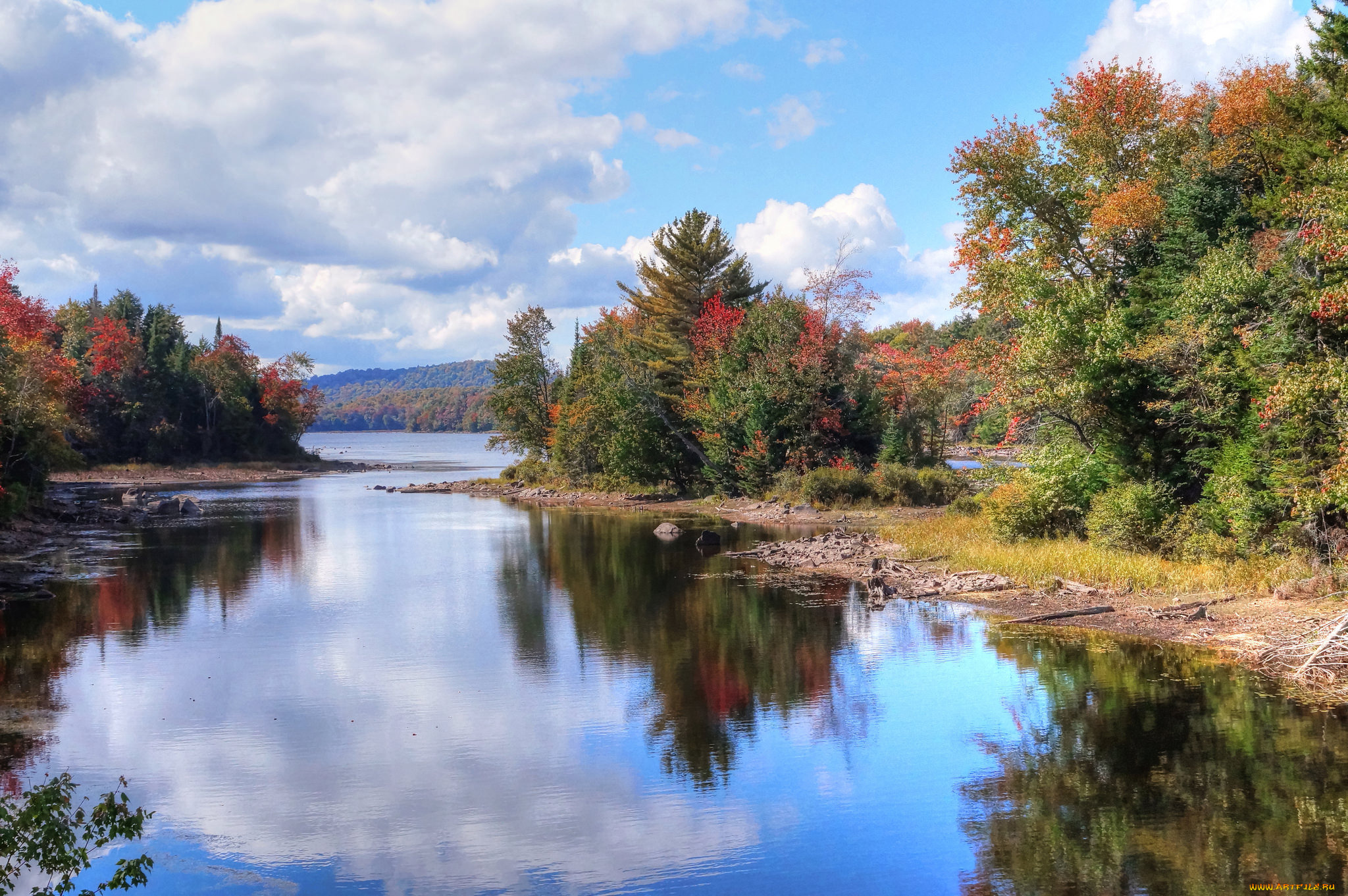 природа, реки, озера, река, лес