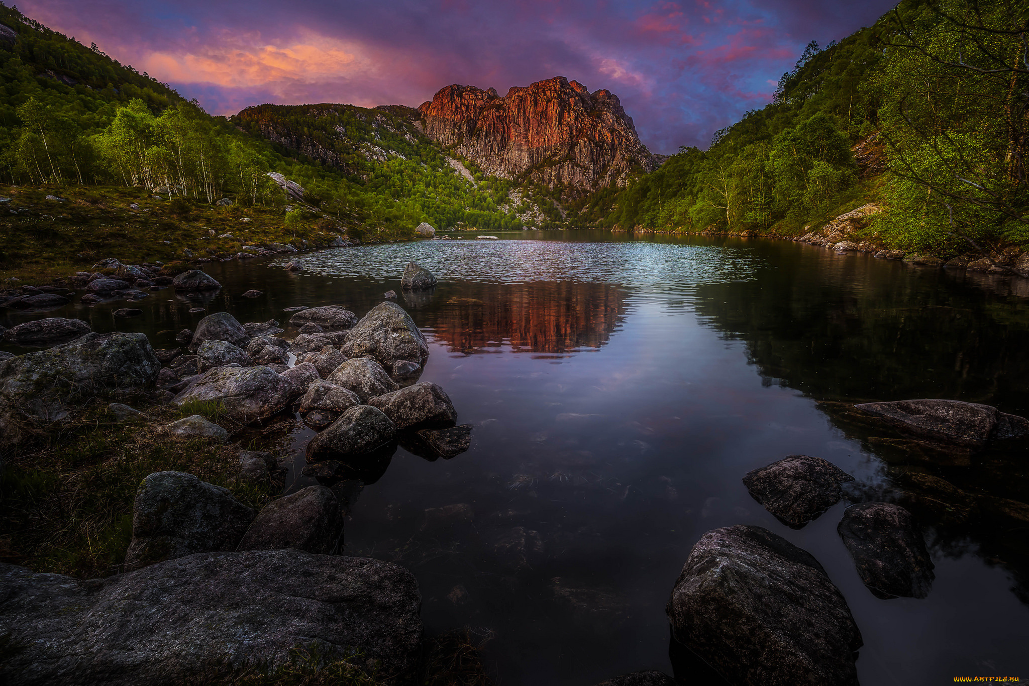 природа, реки, озера, лес, река