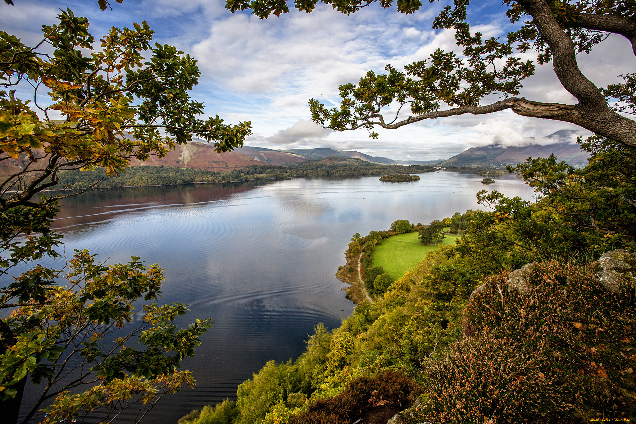 природа, реки, озера, река, лес