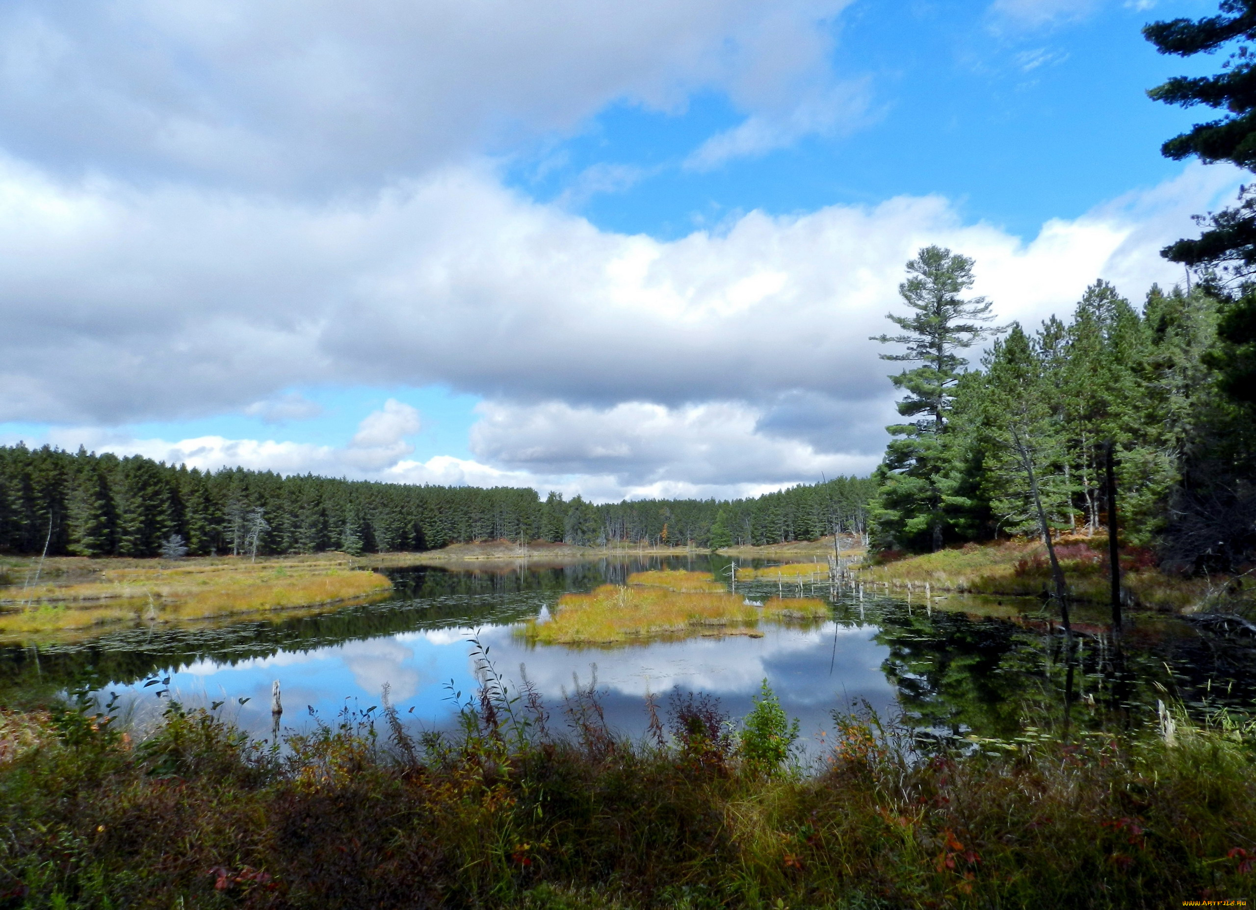 природа, реки, озера, деревья, вода