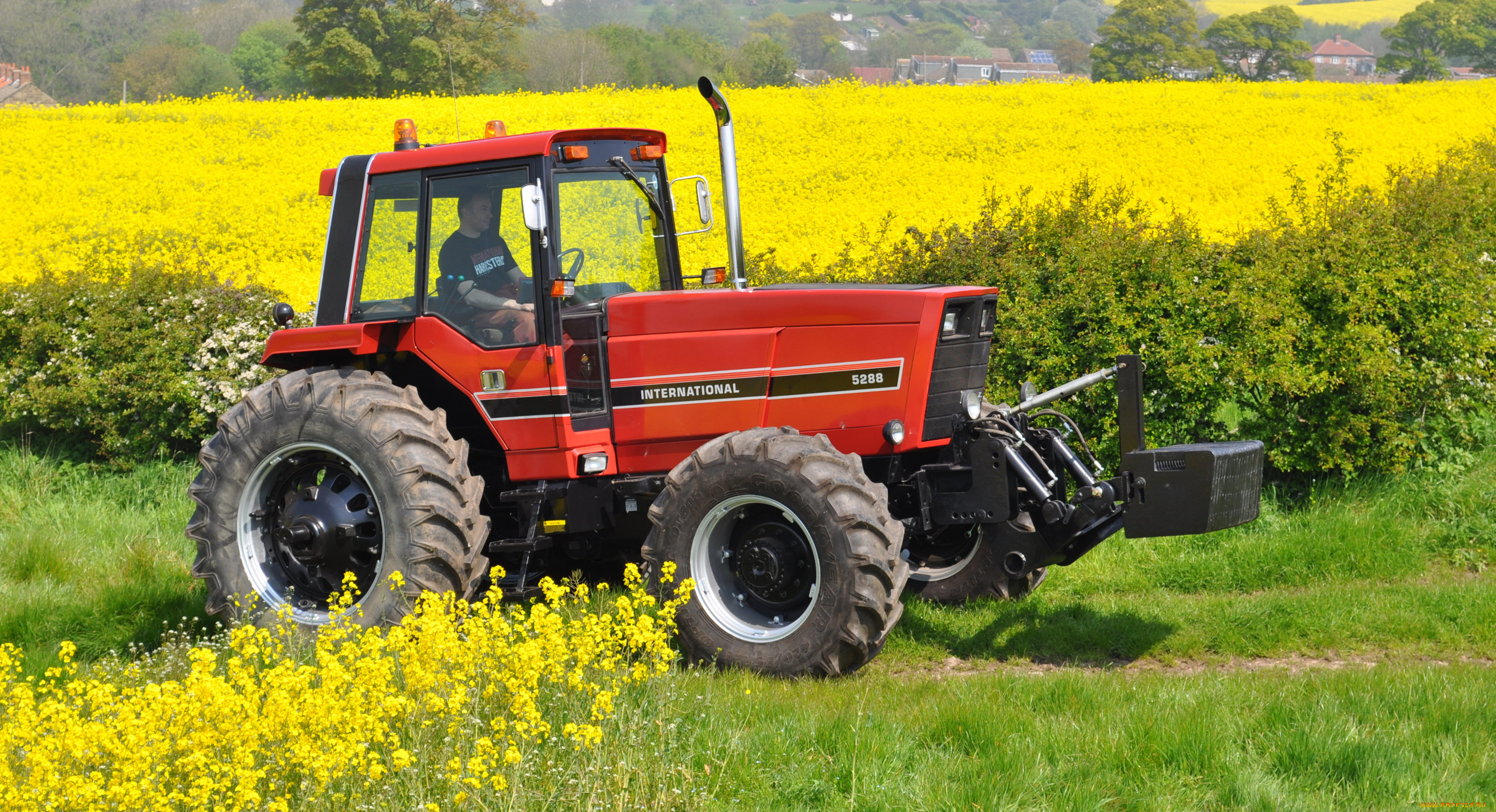 техника, тракторы, international