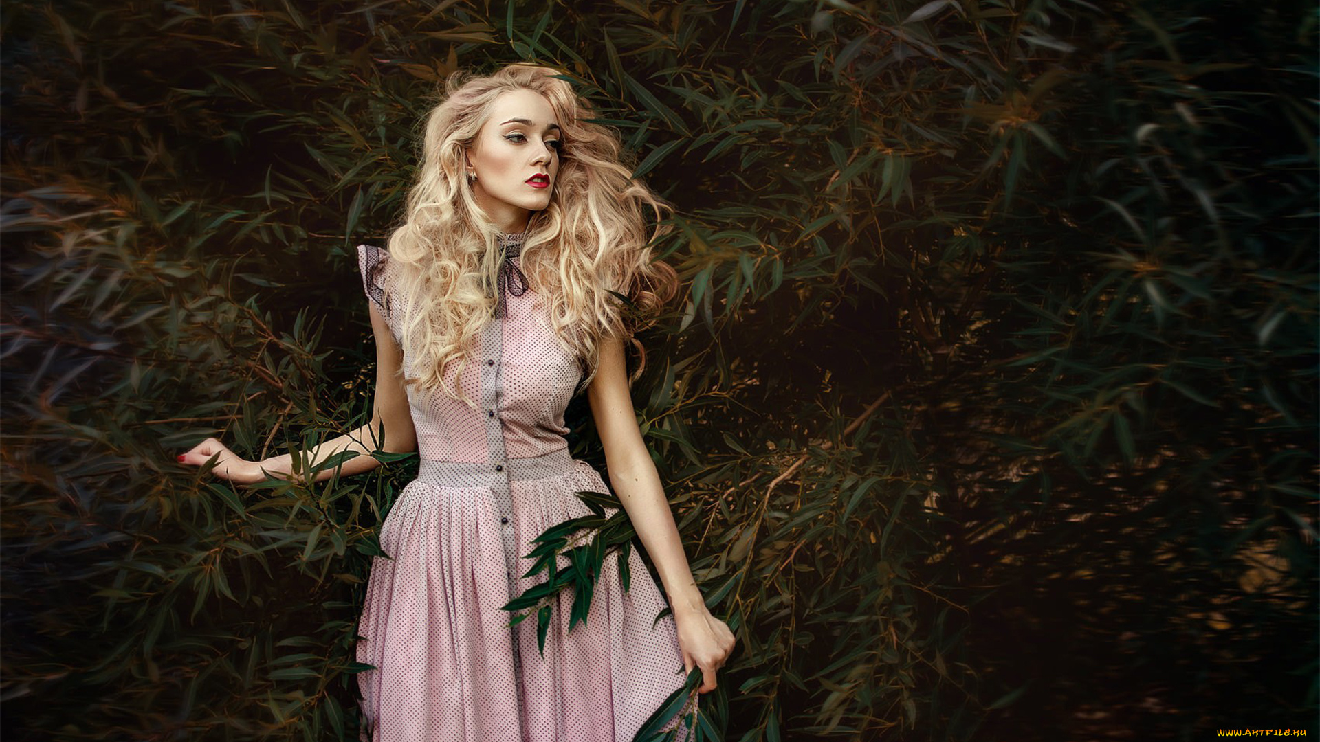 девушка, девушки, -unsort, , блондинки, , светловолосые, модель