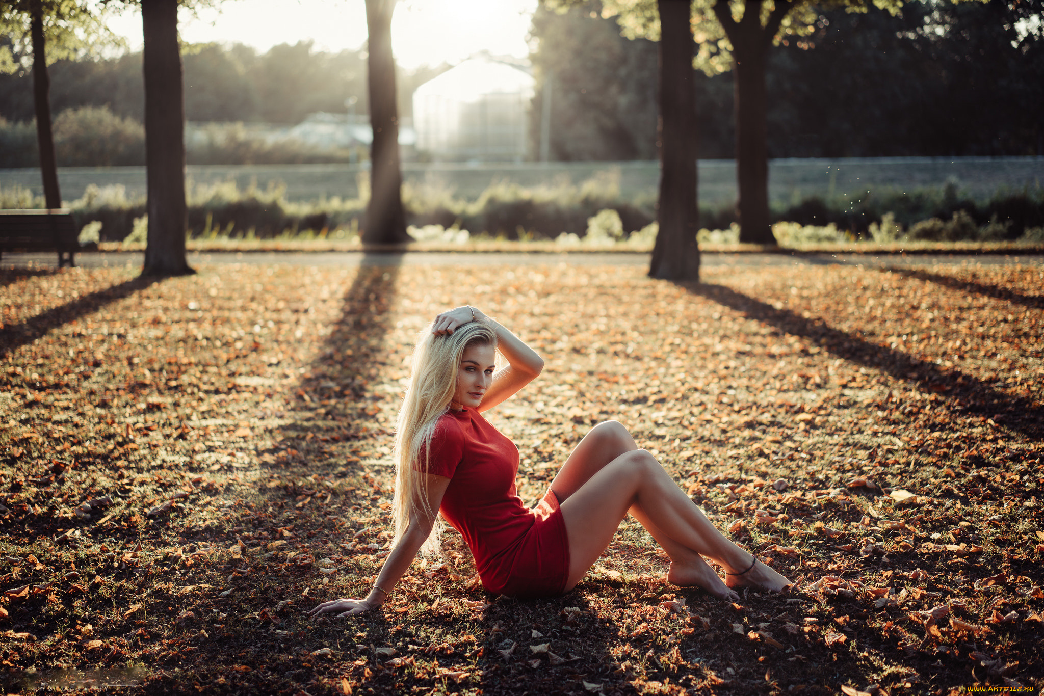 девушка, девушки, rika, berhorst, модель