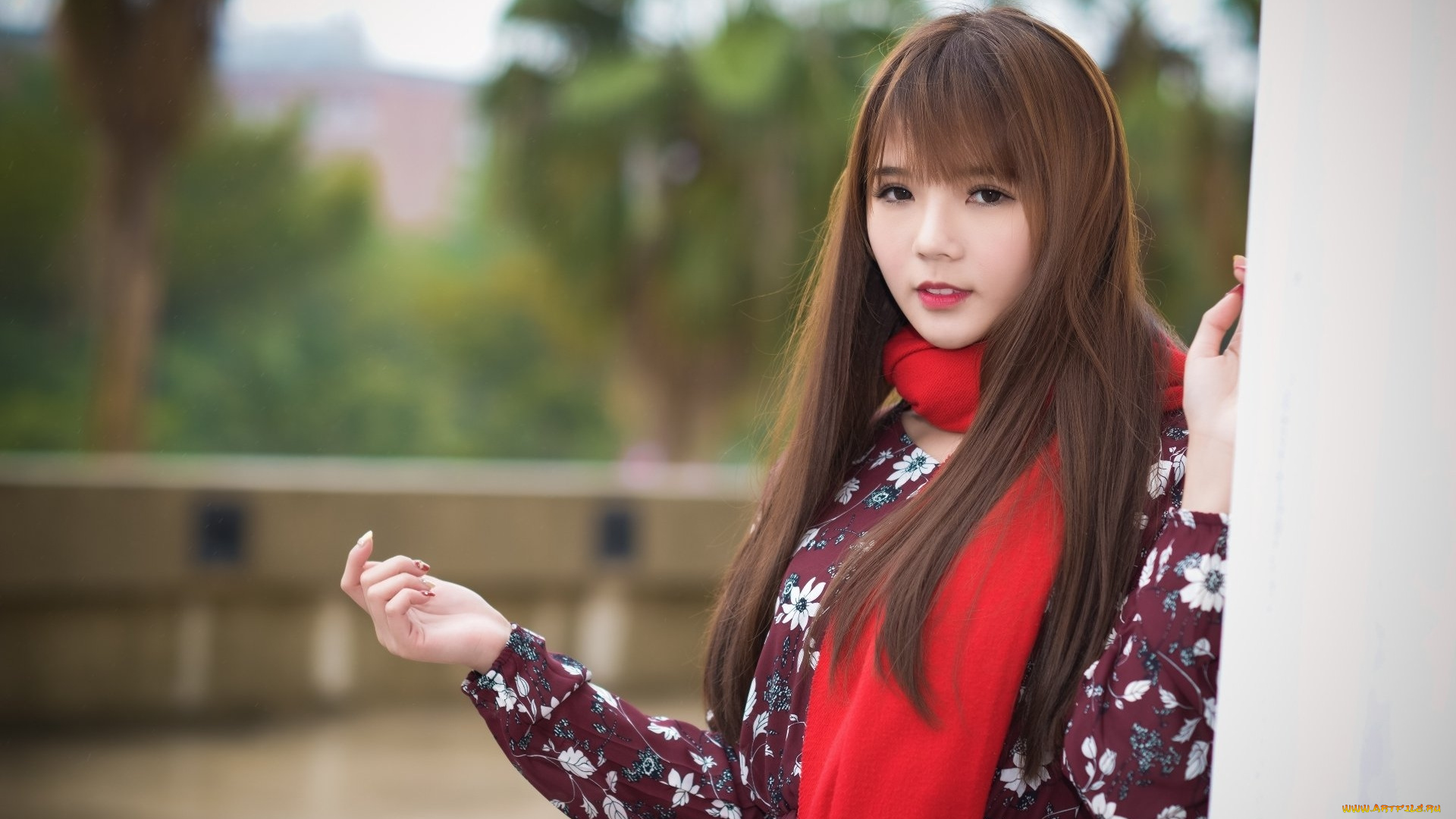 девушки, -, азиатки, азиатка, шарф