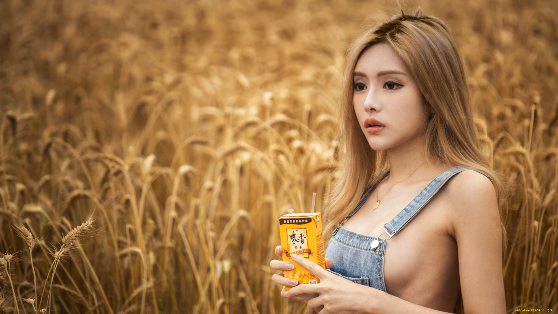 девушки, -, азиатки, блондинка, комбинезон, пачка, поле