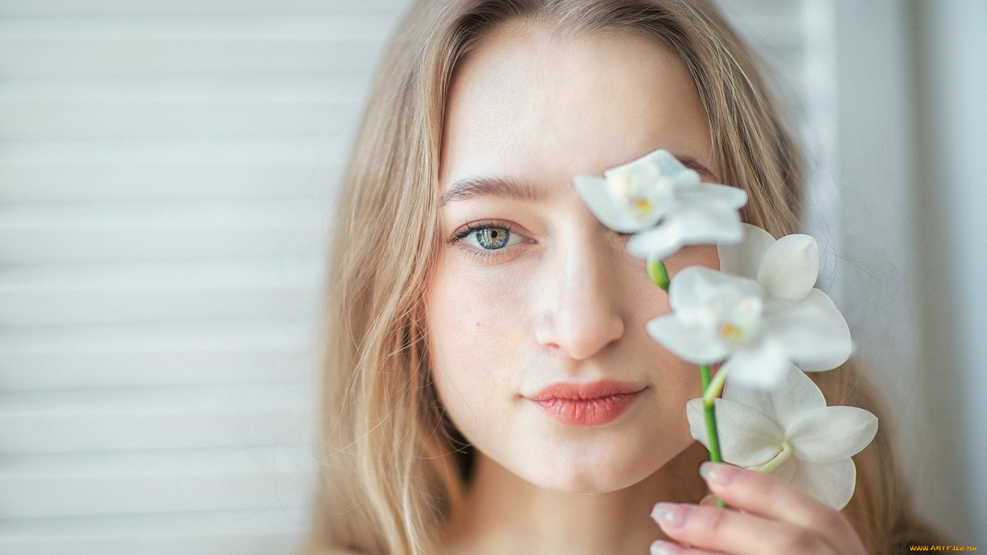 девушки, -, лица, , портреты, блондинка, орхидеи