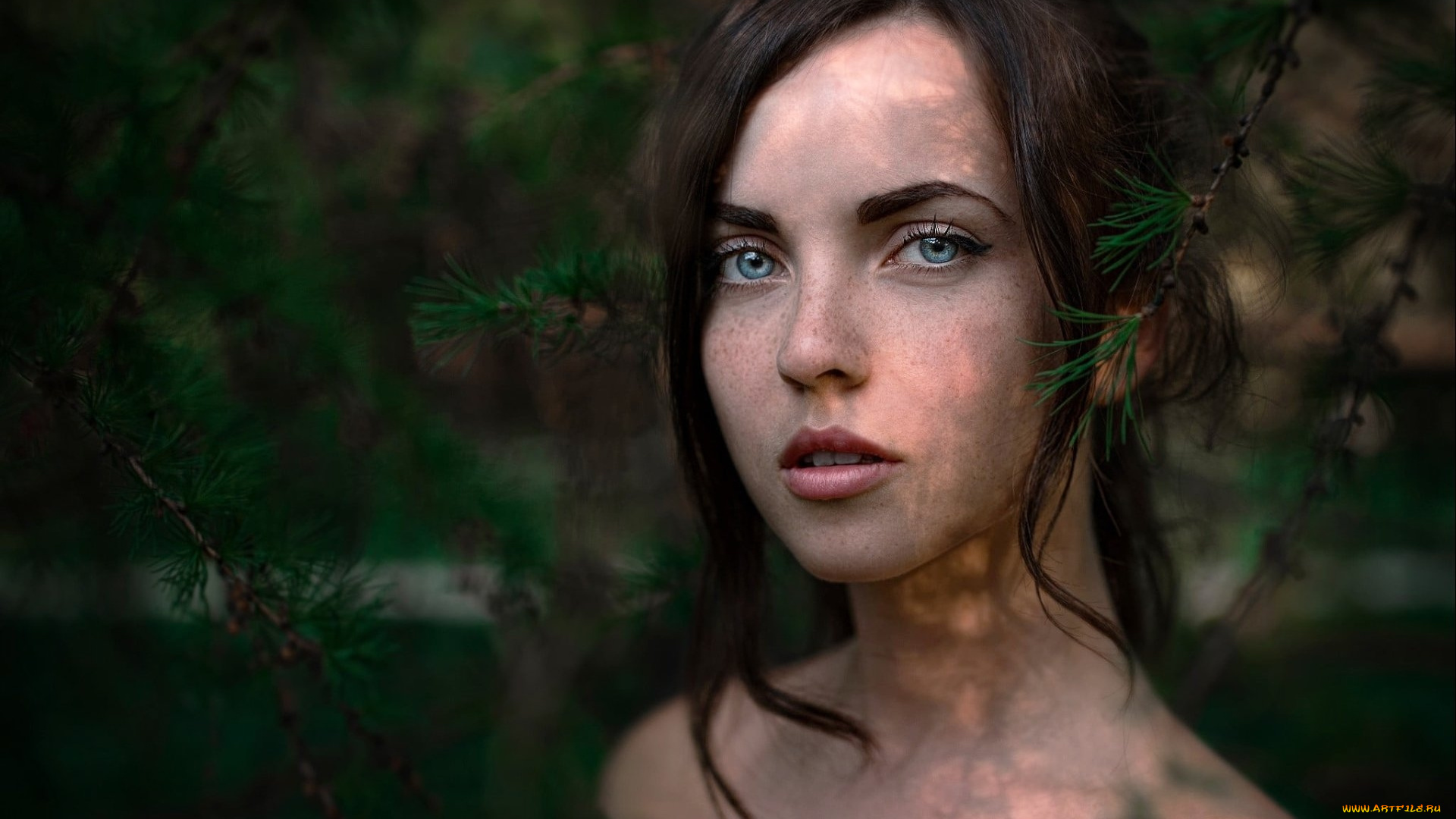 девушки, -, лица, , портреты, брюнетка, веснушки, катя, форест