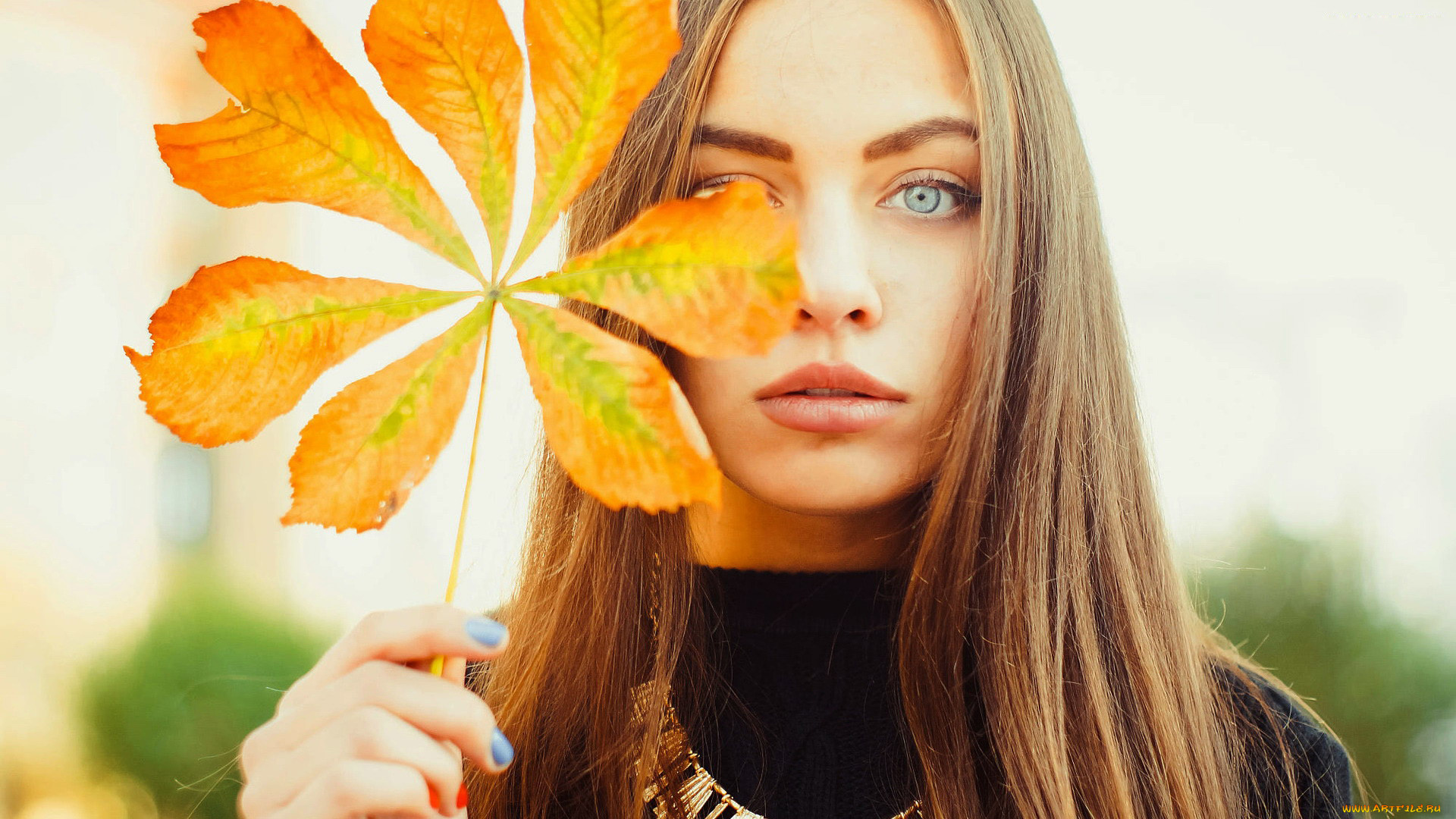 девушки, -, лица, , портреты, шатенка, лист, кленовый