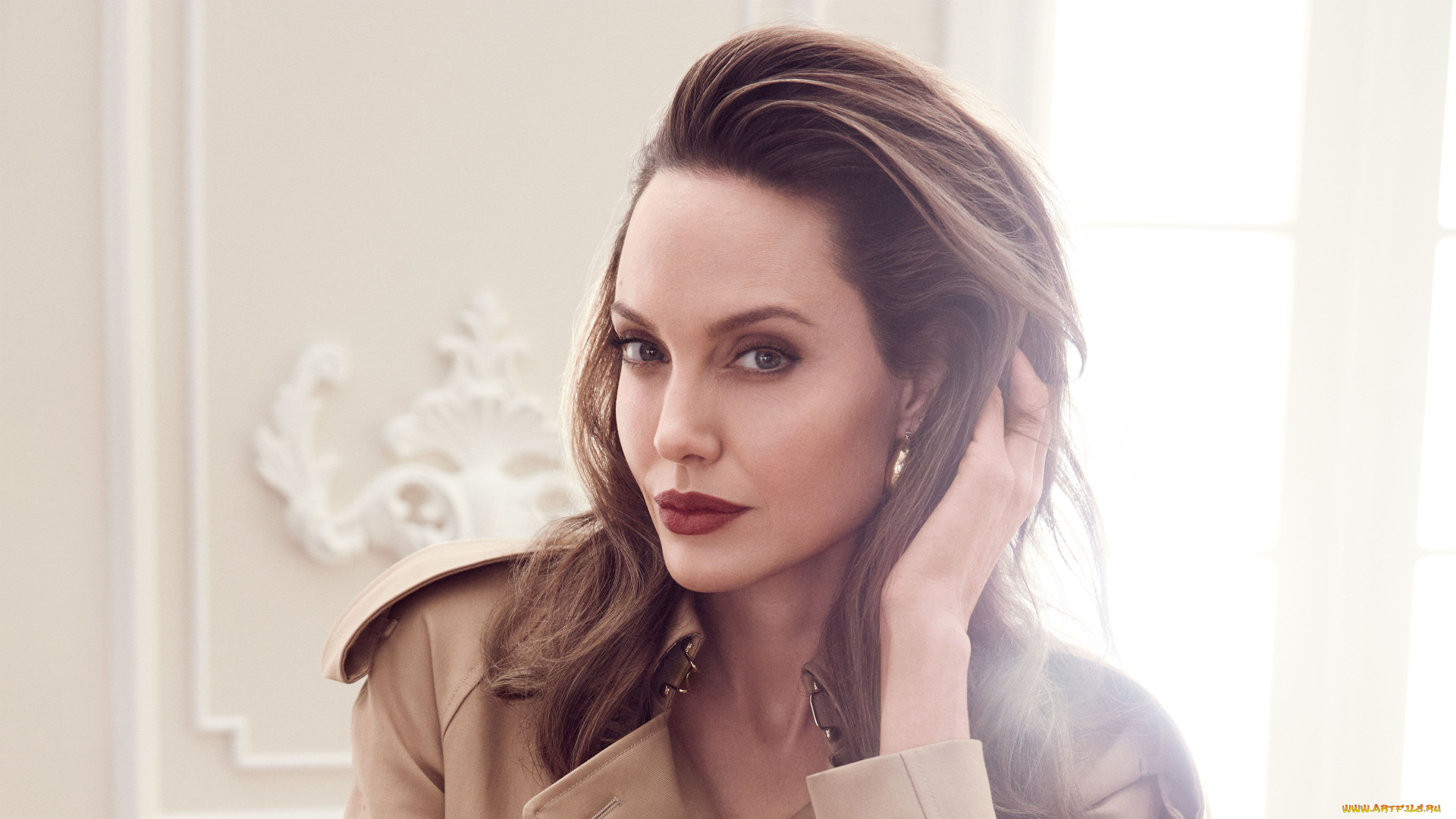 девушки, angelina, jolie, актриса, шатенка, лицо