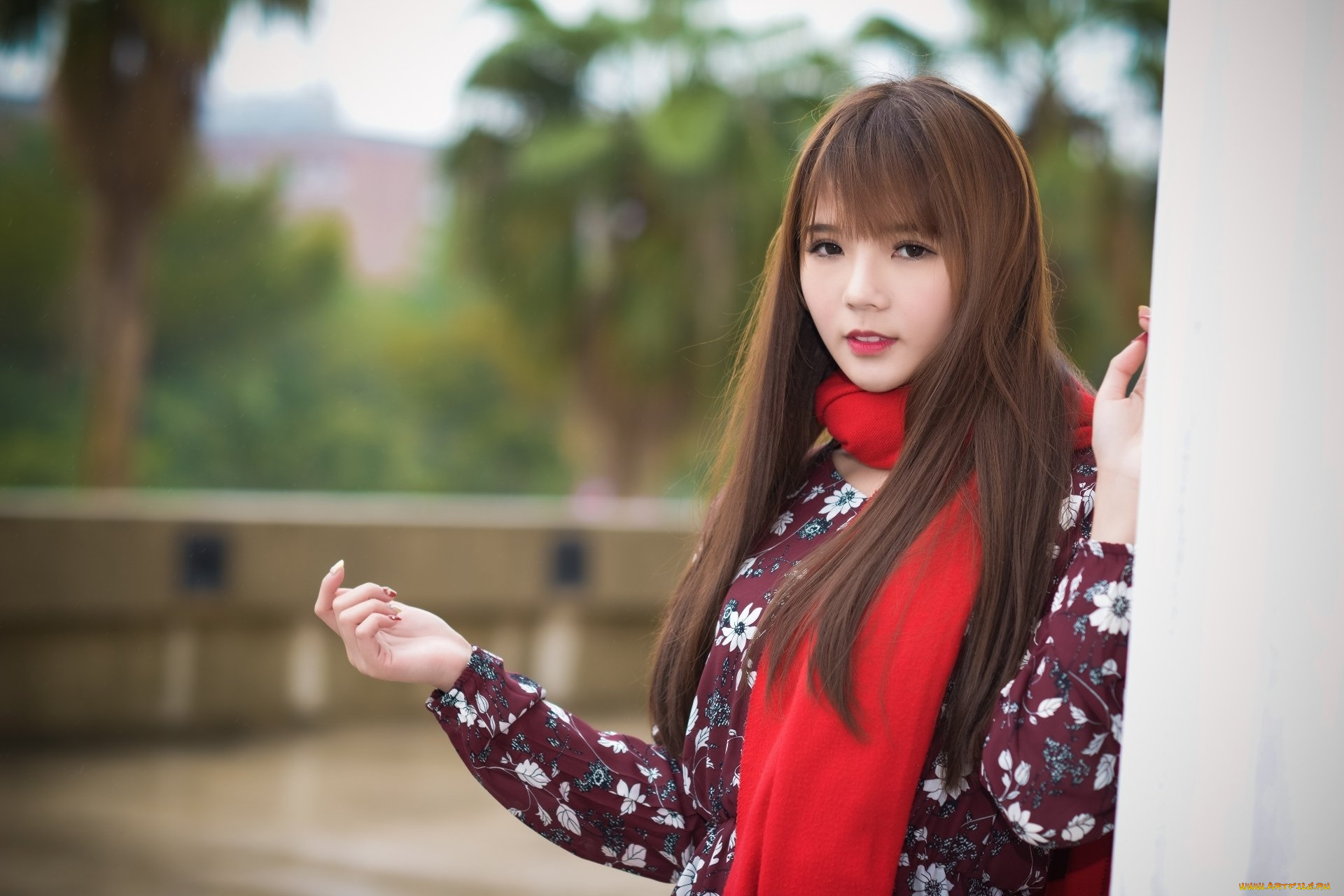 девушки, -, азиатки, азиатка, шарф