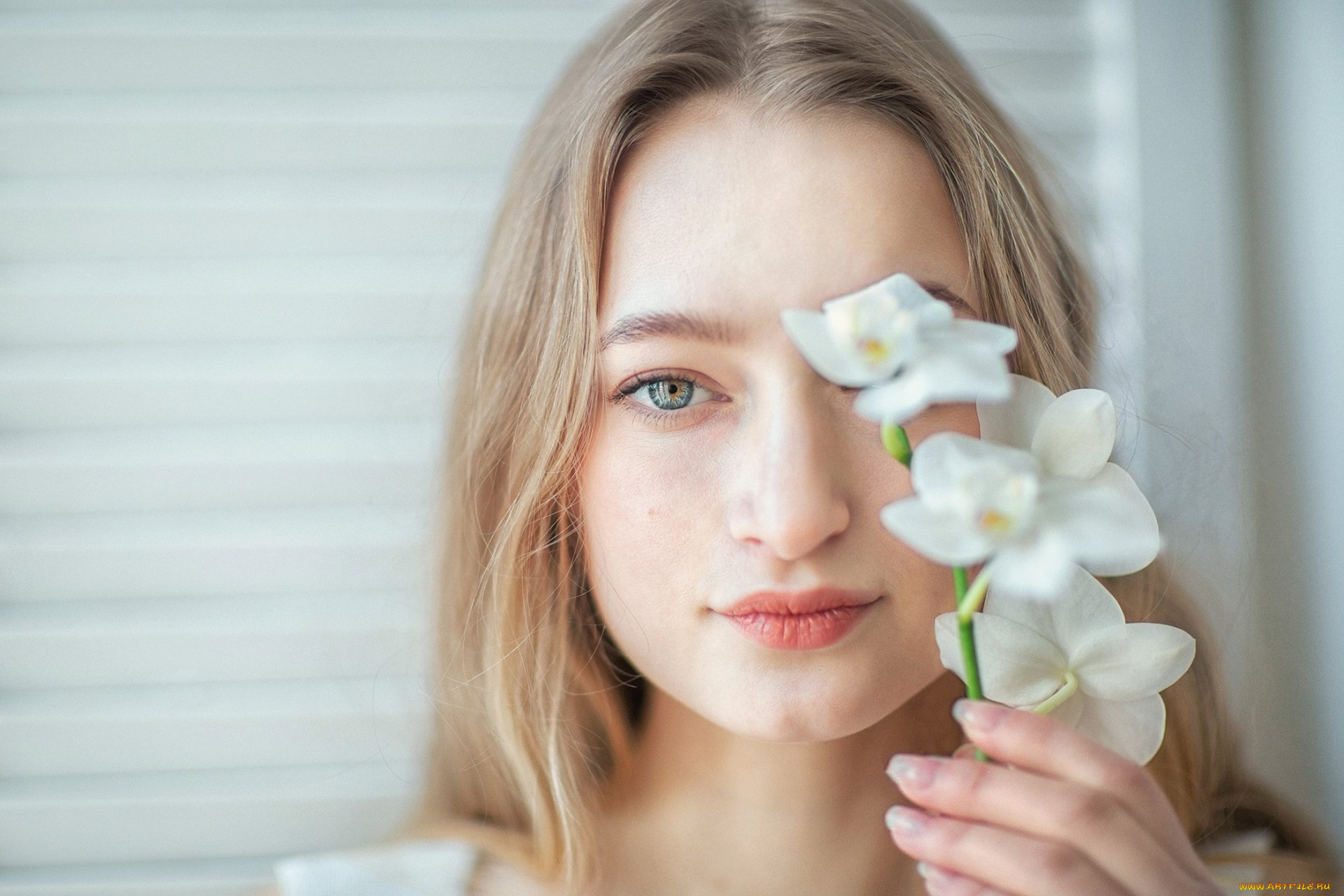 девушки, -, лица, , портреты, блондинка, орхидеи