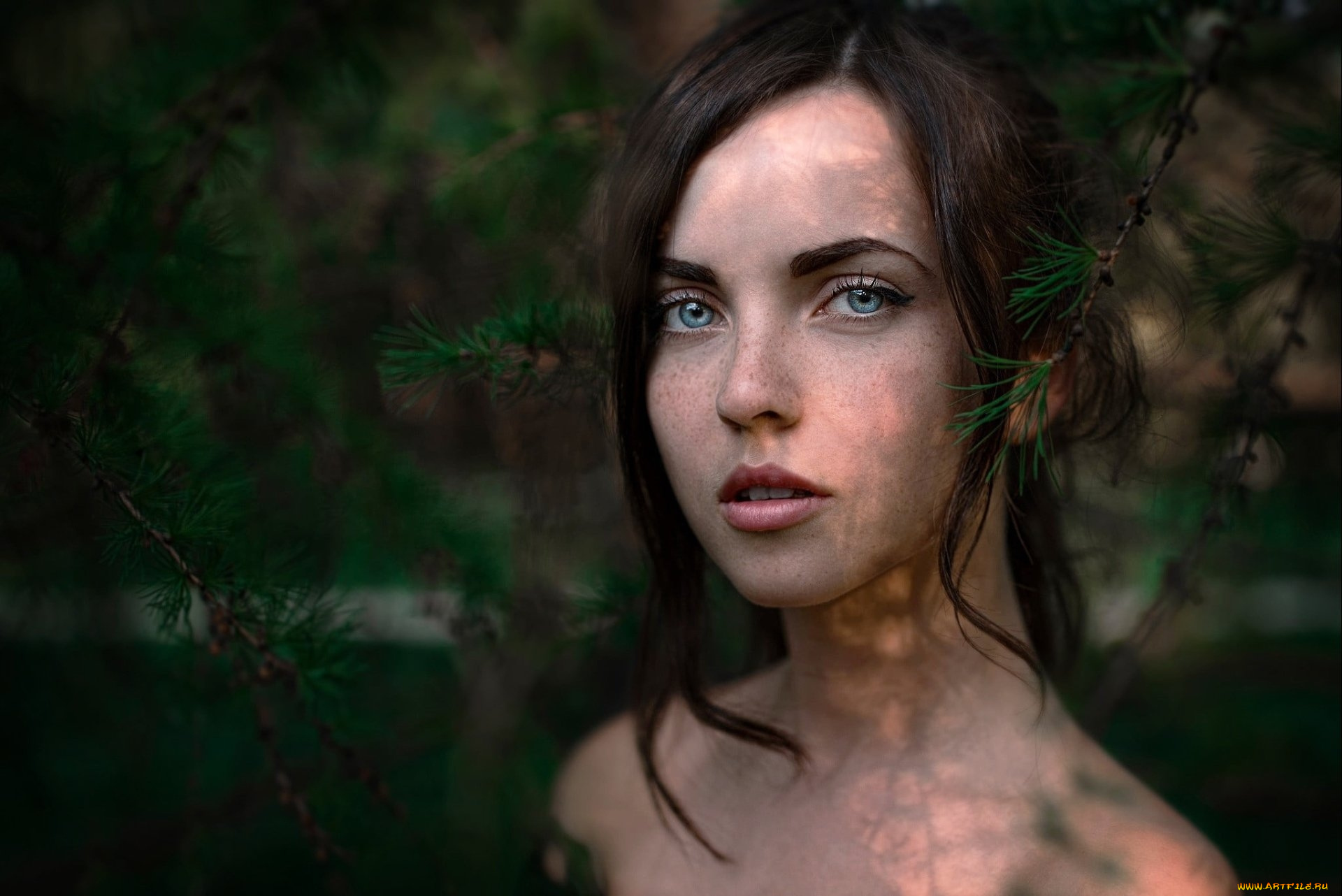 девушки, -, лица, , портреты, брюнетка, веснушки, катя, форест