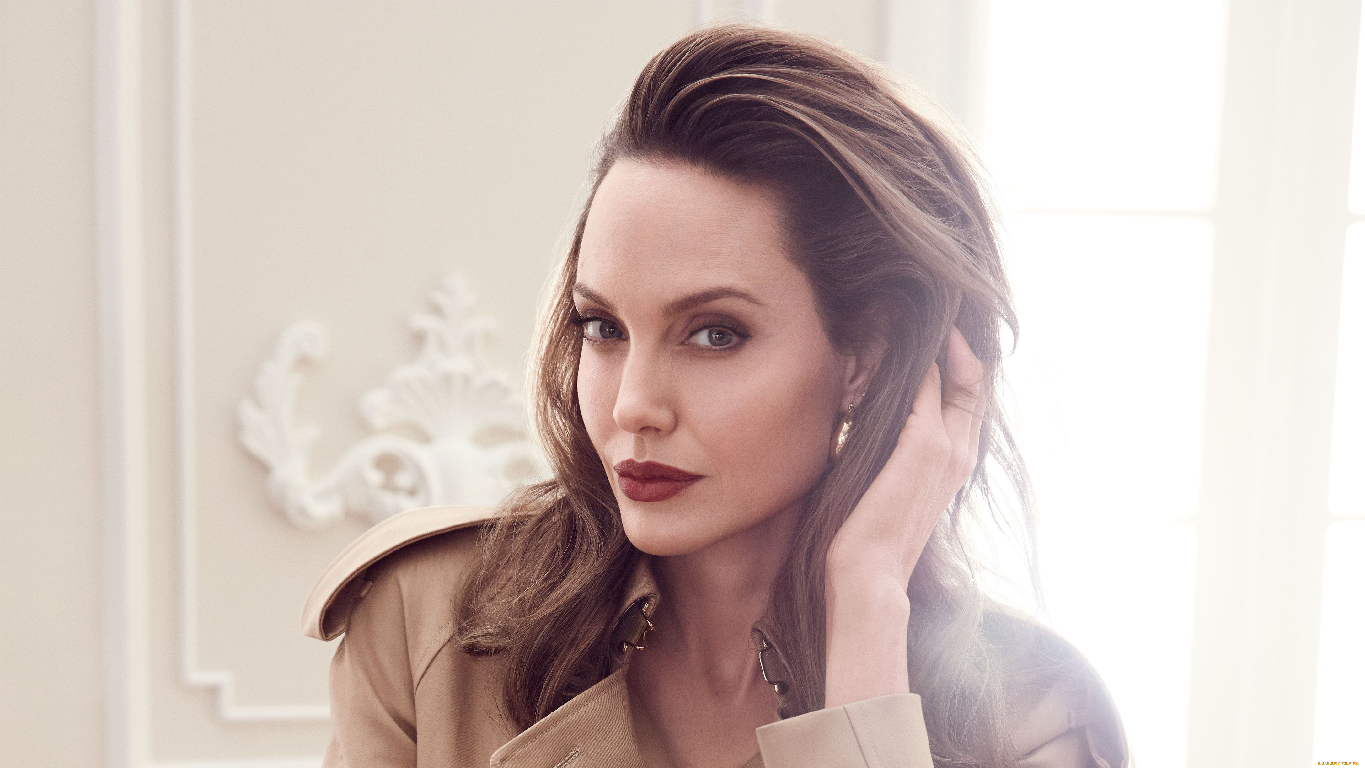 девушки, angelina, jolie, актриса, шатенка, лицо