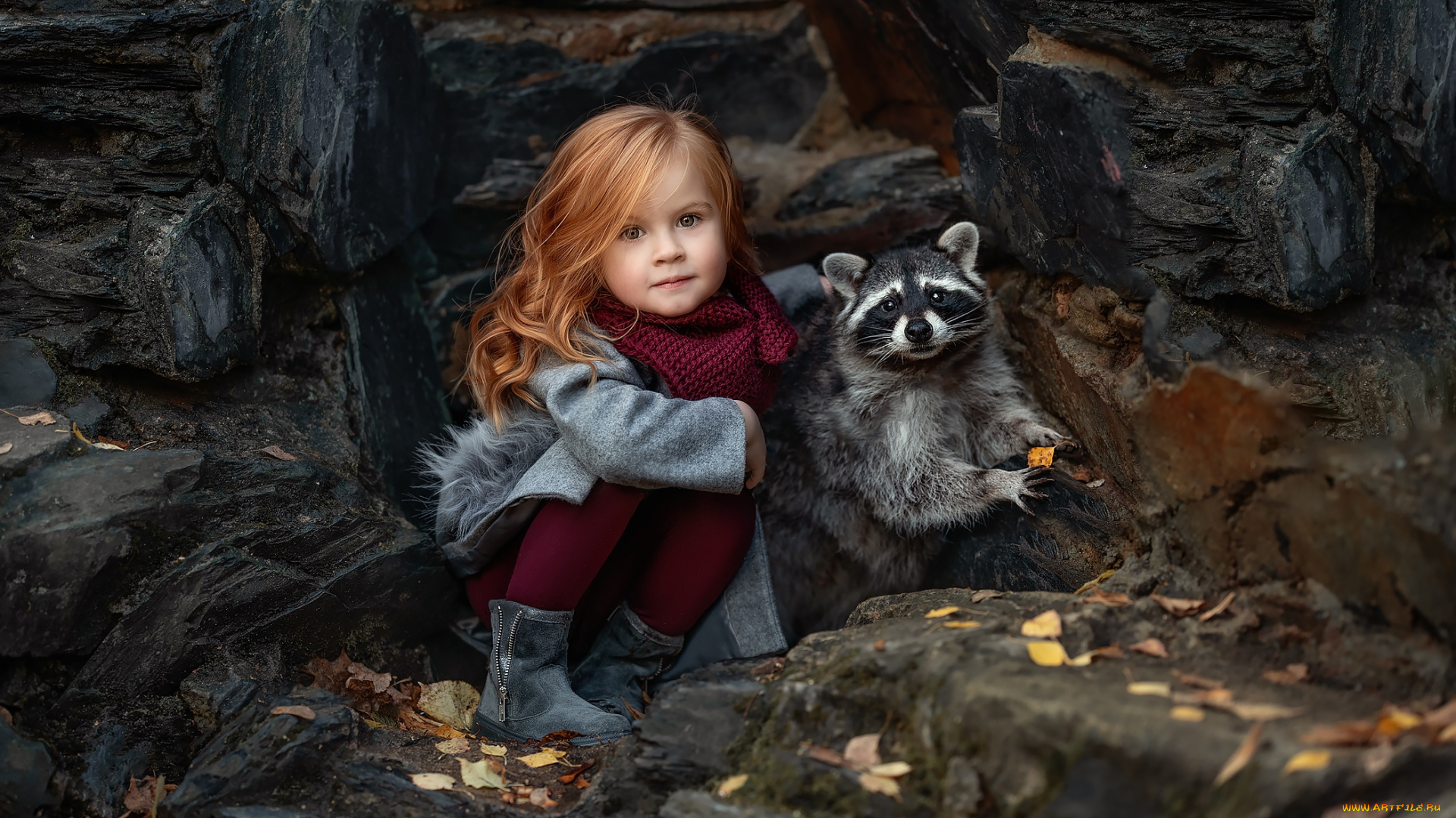 разное, дети, девочка, осень, енот, пальто, raccoon, little, girl