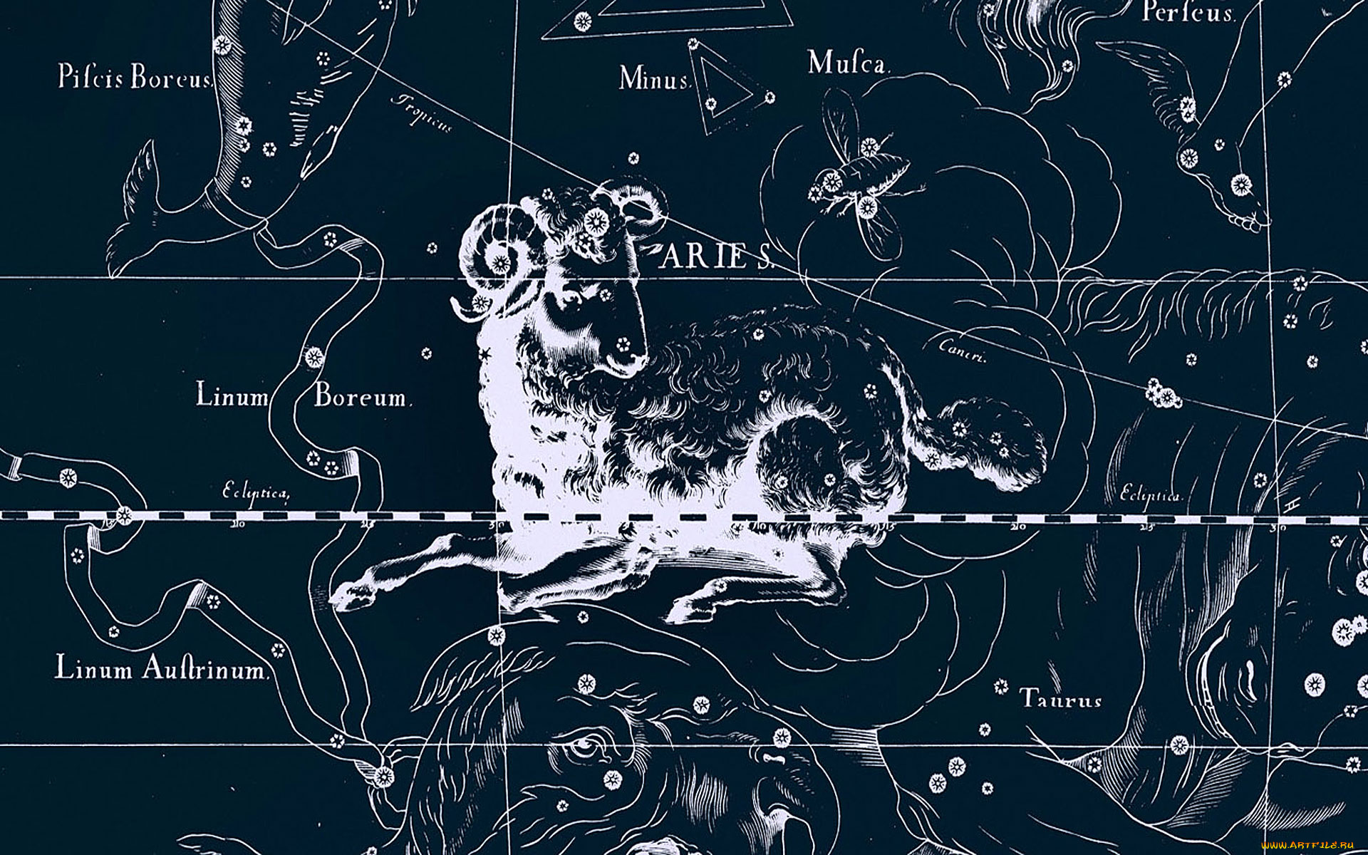 разное, знаки, зодиака, овен, зодиак, звезды, созвездия