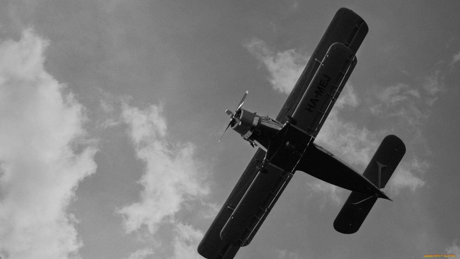 авиация, лёгкие, одномоторные, самолёты, монохромный, антонов, ан2, полет, биплан, с, высоты, птичьего, полета, водяными, знаками, украинский, самолет