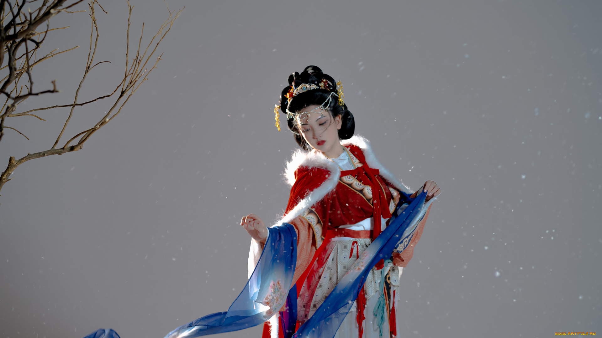 девушки, -, азиатки, дева, девушка