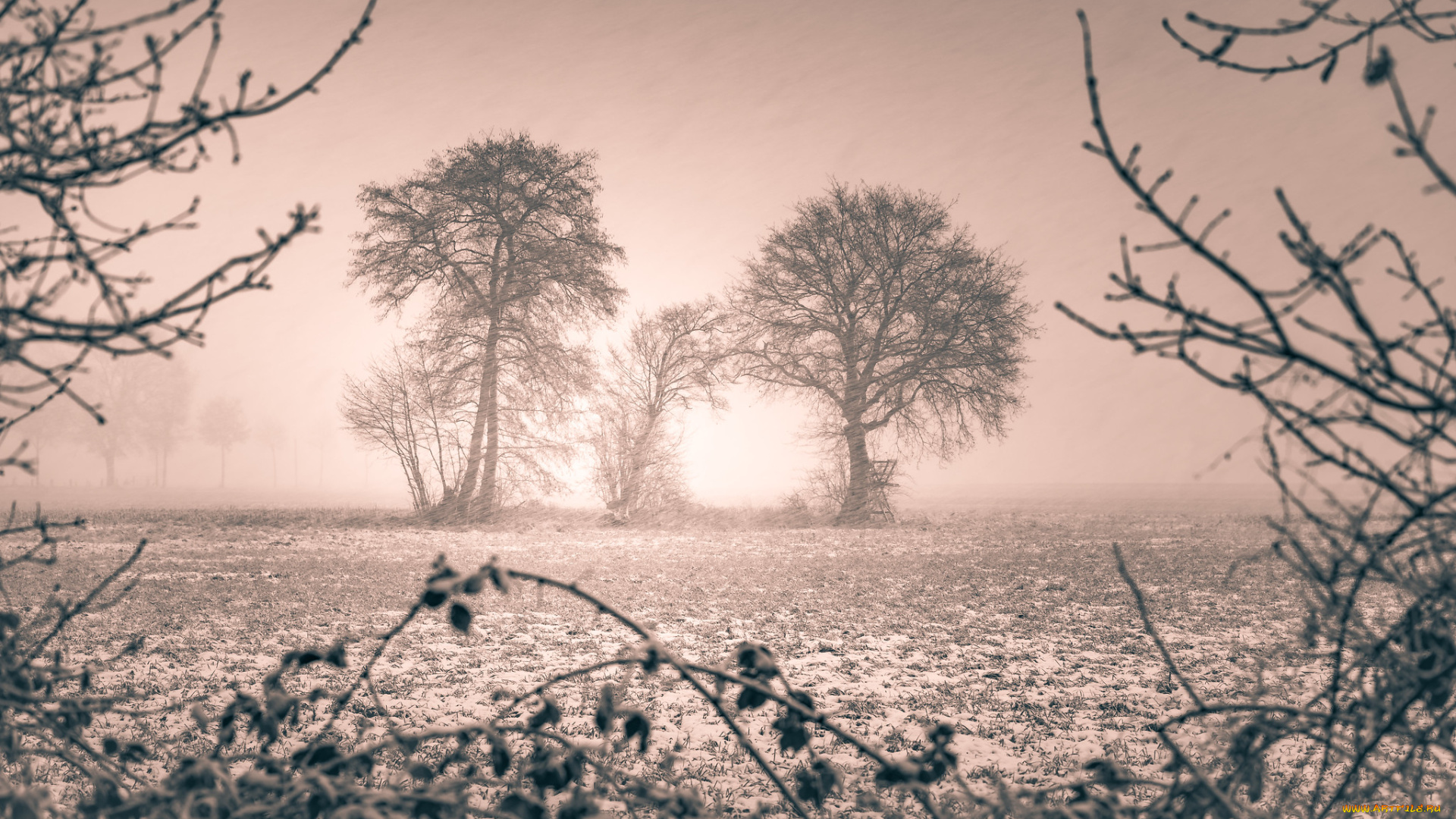 природа, зима, метель