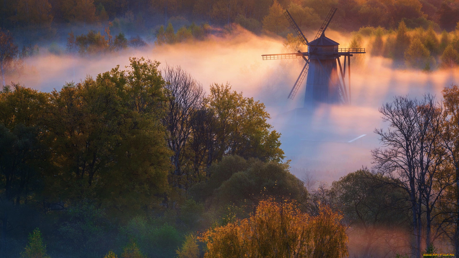 разное, мельницы, лес, мельница, туман