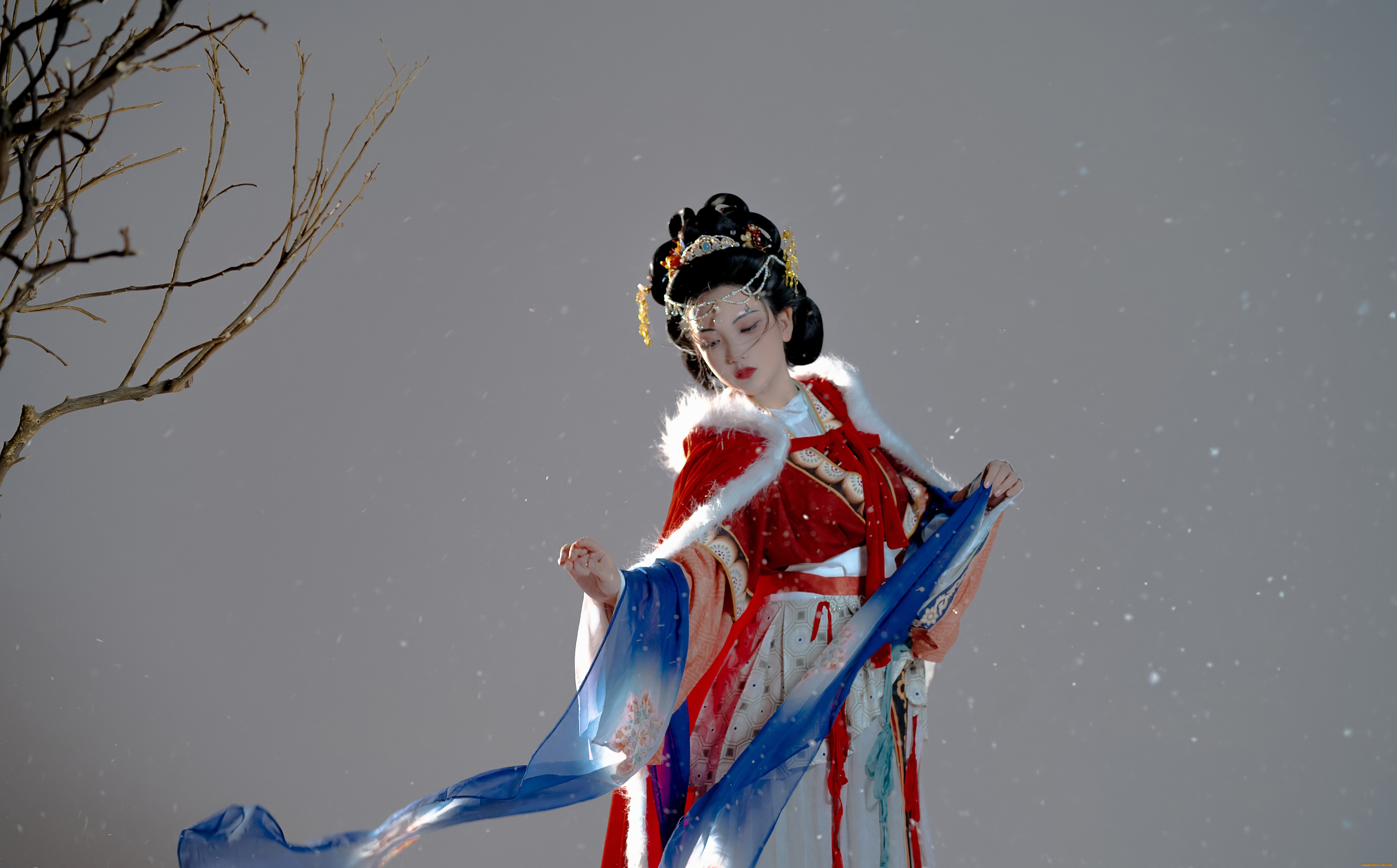 девушки, -, азиатки, дева, девушка