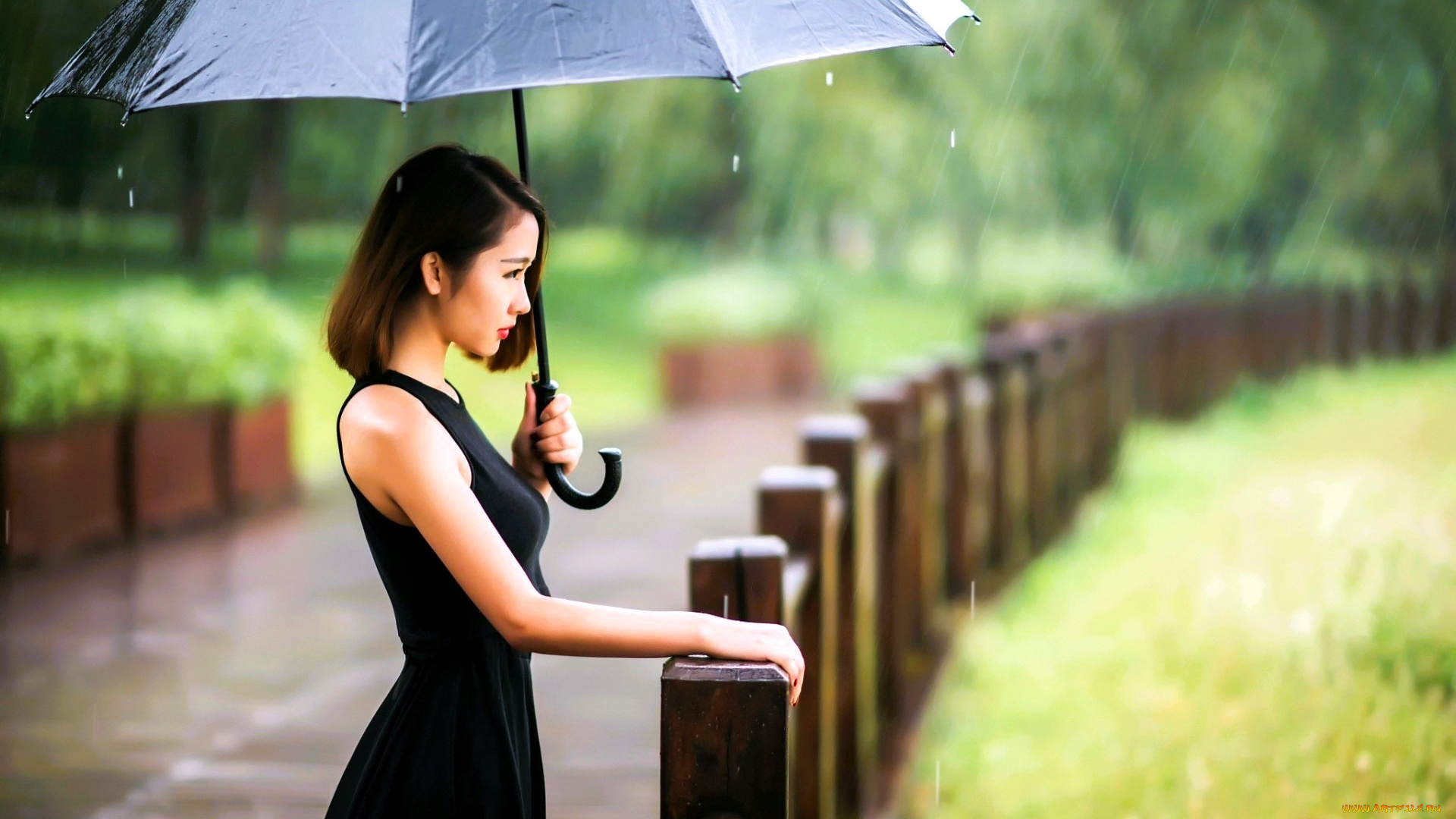 девушки, -, азиатки, шатенка, платье, зонт, дождь, забор