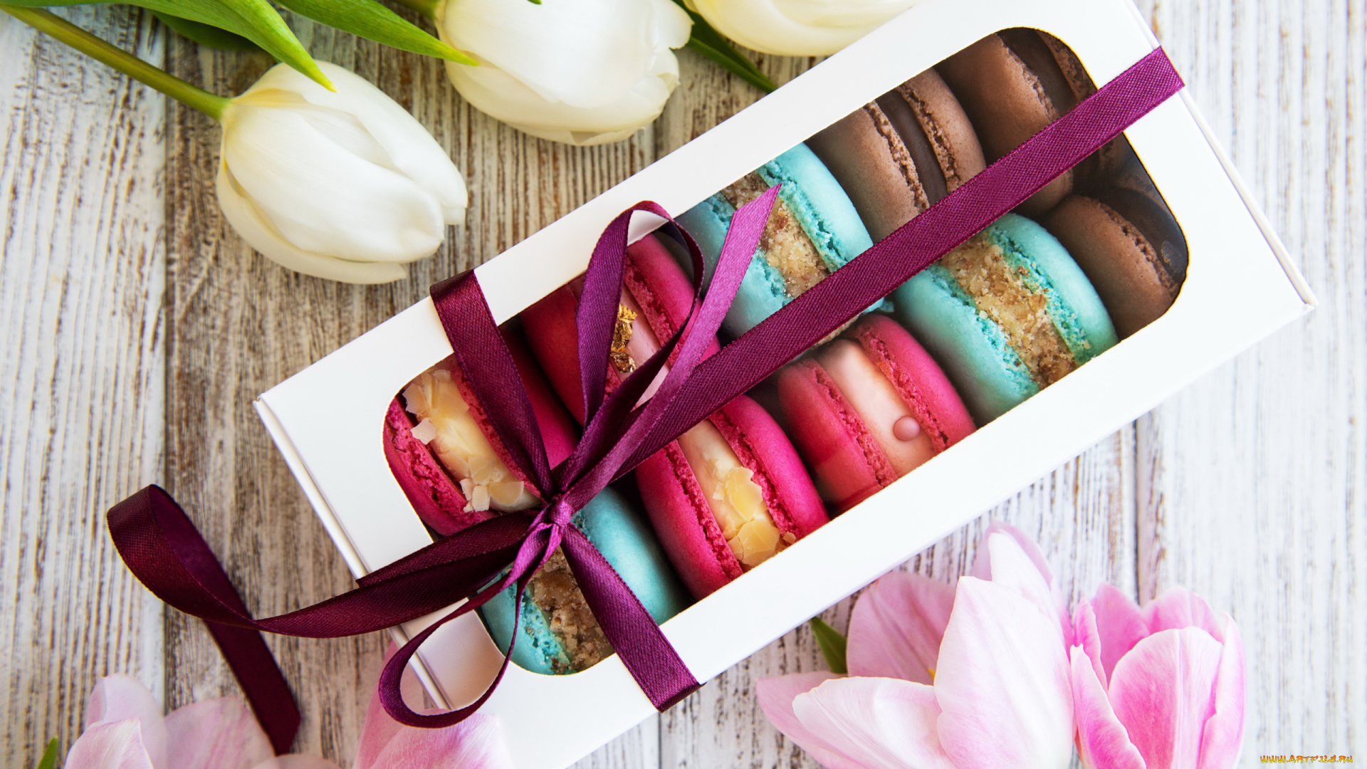еда, макаруны, лакомство, ассорти, лента, бант, тюльпаны