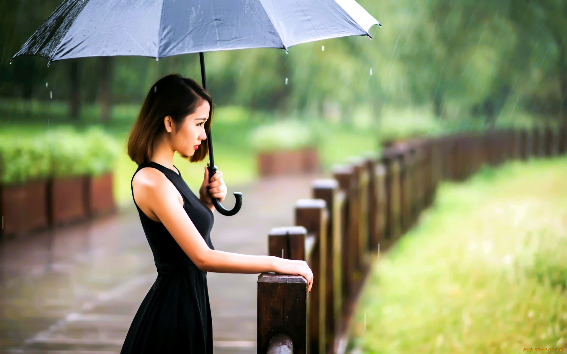 девушки, -, азиатки, шатенка, платье, зонт, дождь, забор
