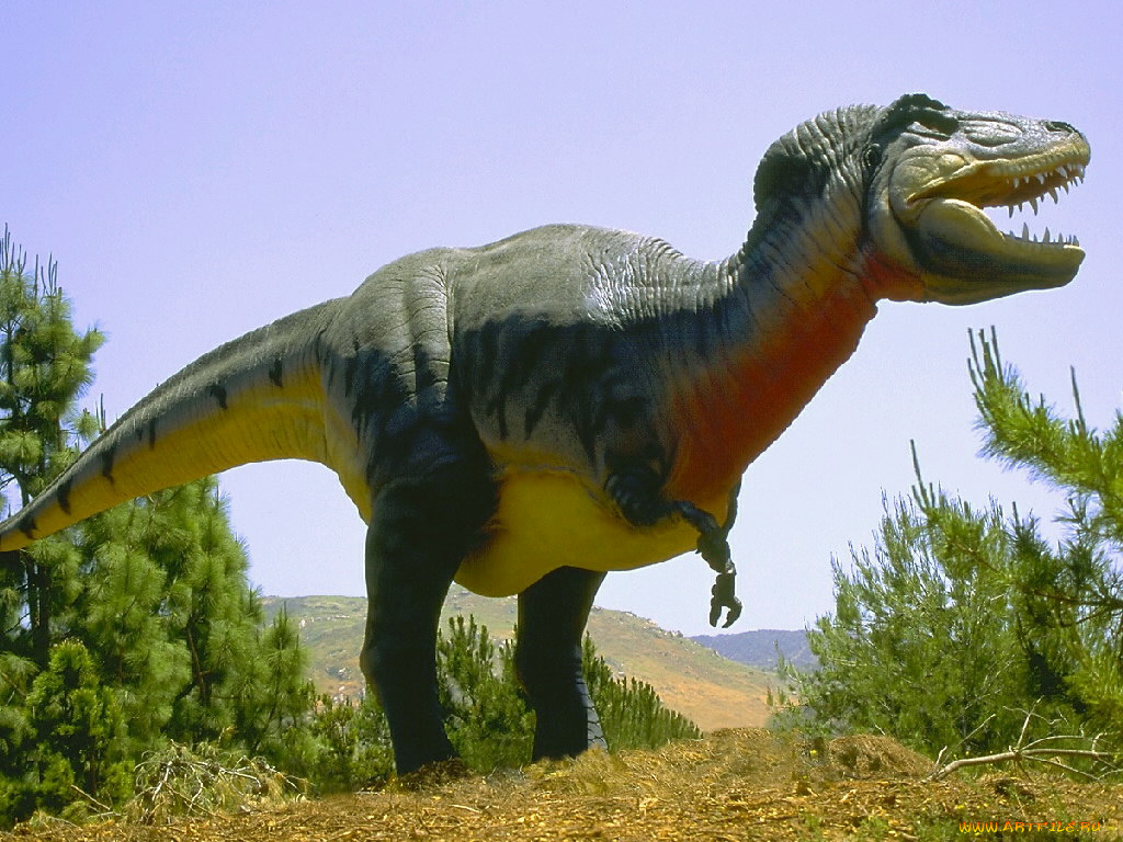 разное, рельефы, статуи, музейные, экспонаты