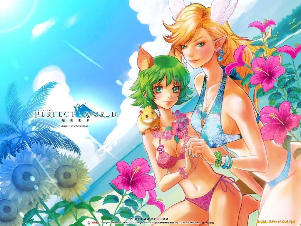 видео, игры, perfect, world