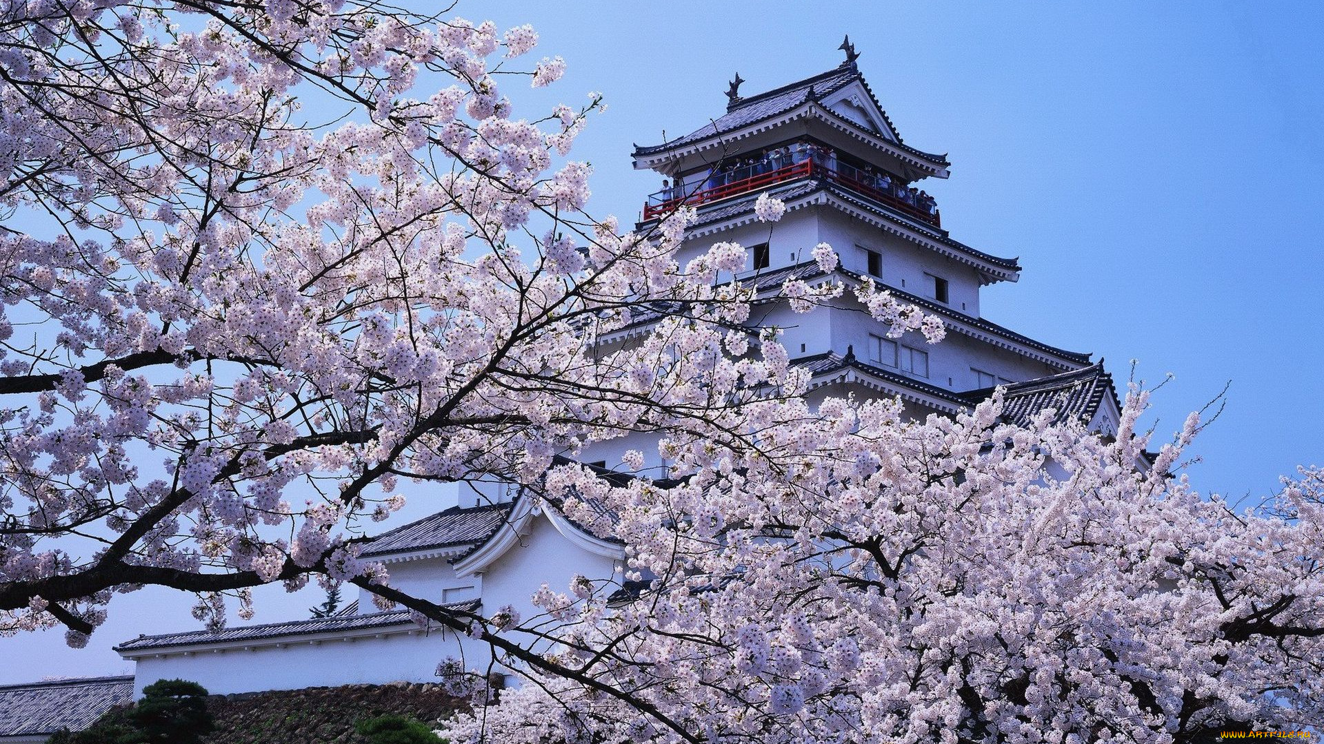 japan, города, замки, Японии