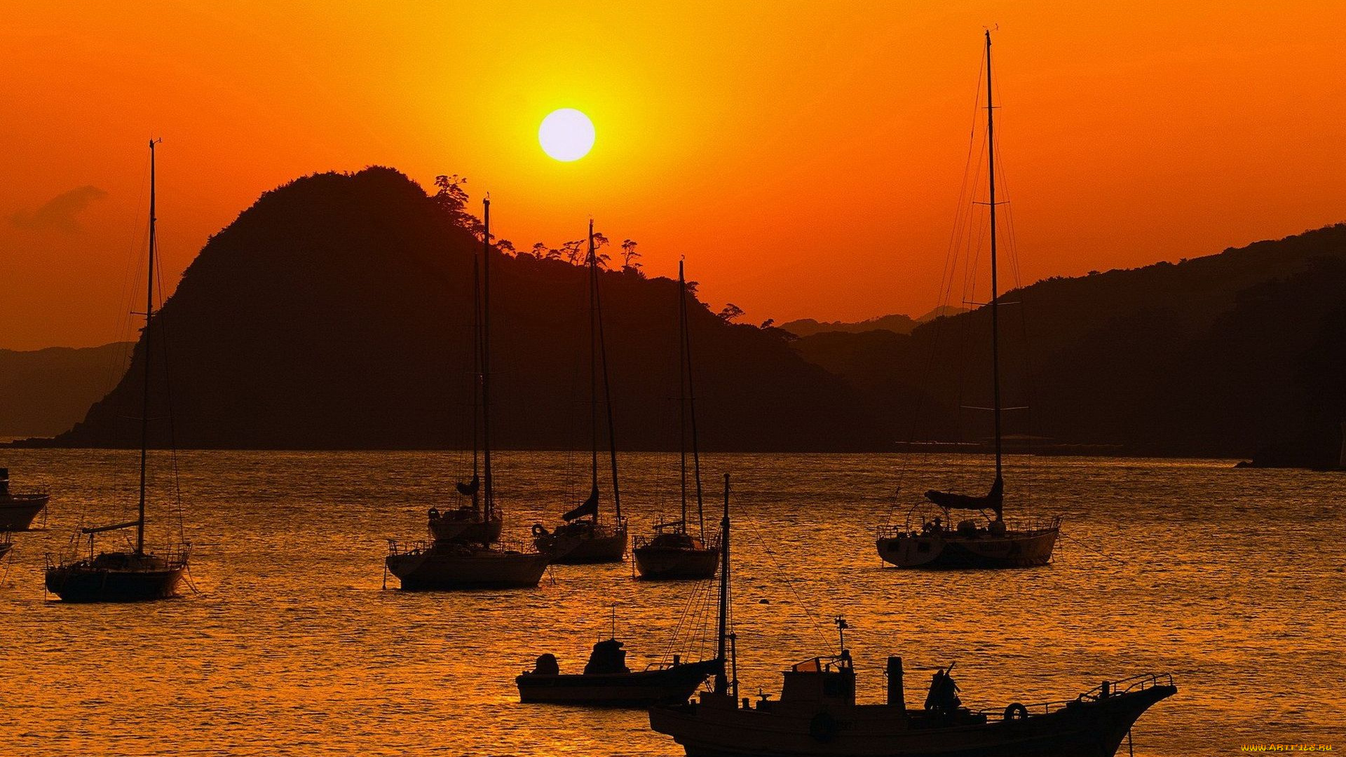 корабли, разные, вместе