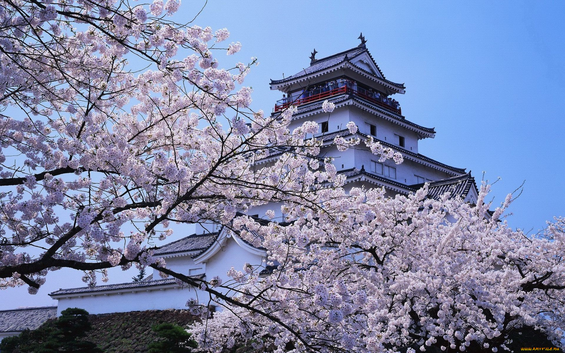 japan, города, замки, Японии