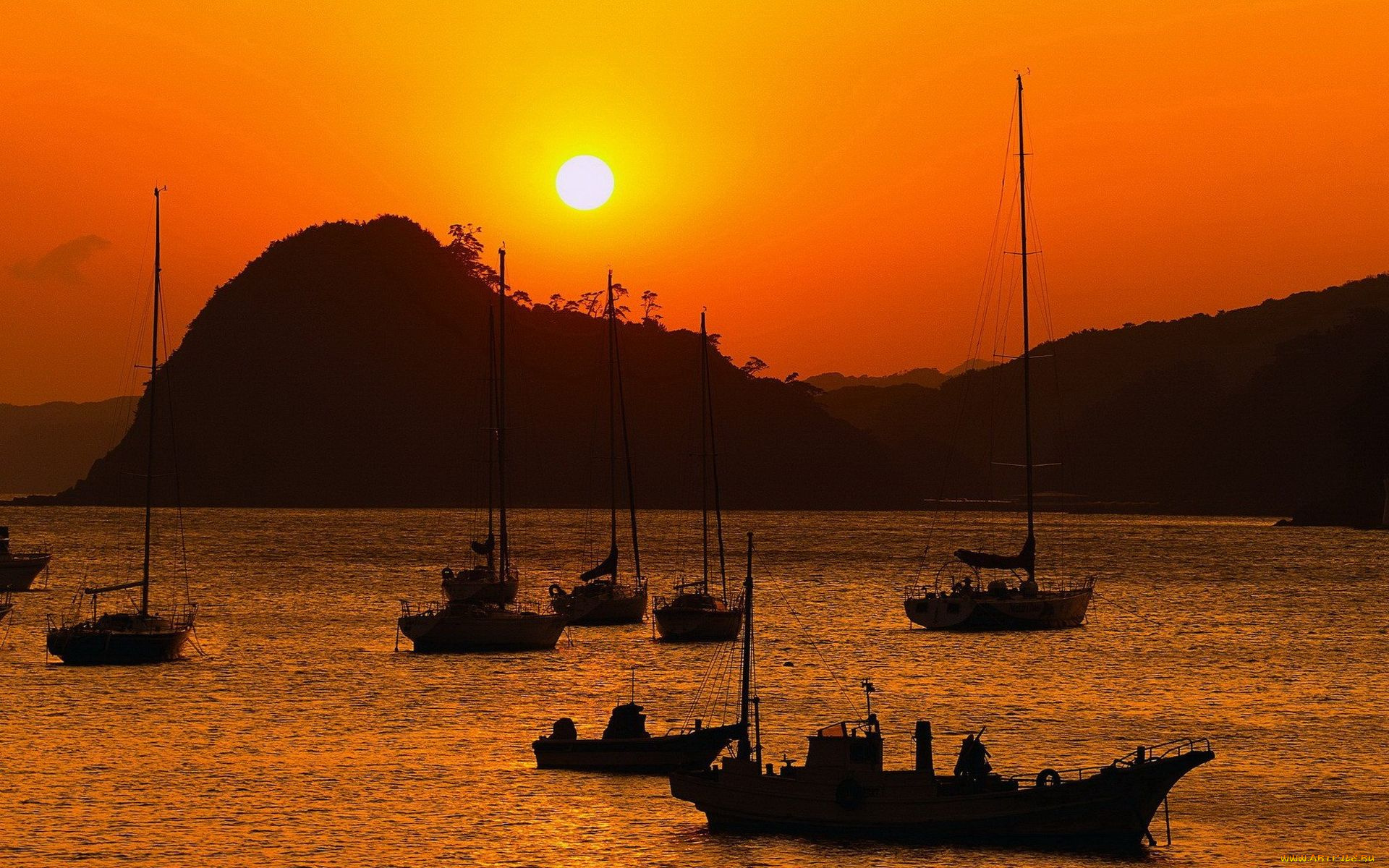 корабли, разные, вместе