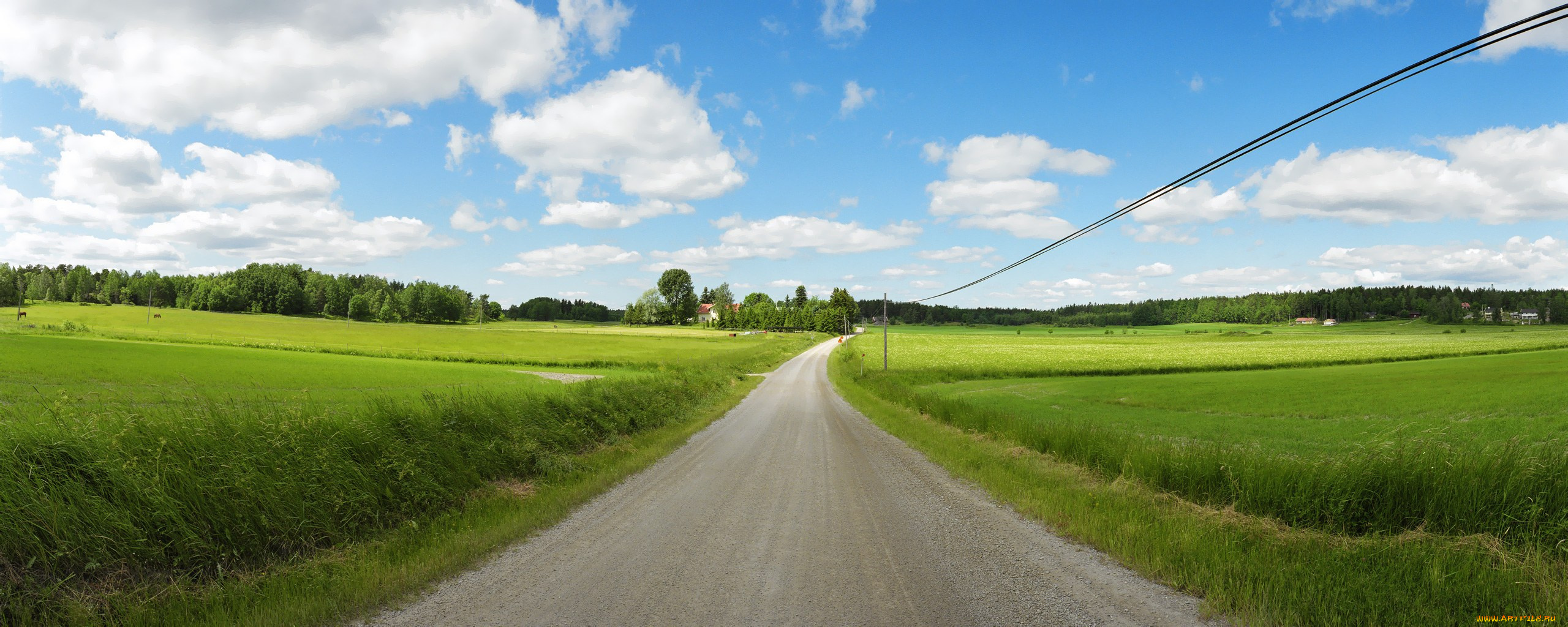 природа, дороги