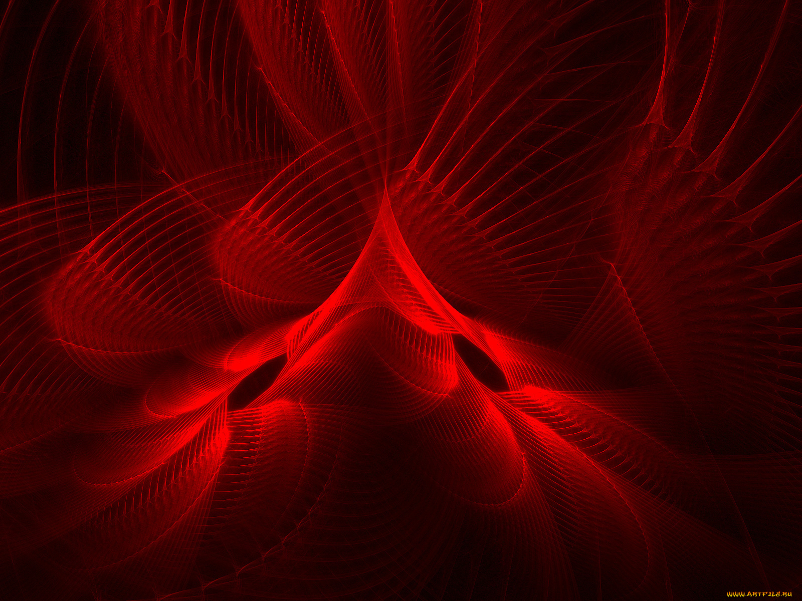 3д, графика, fractal, фракталы, узор, цвета