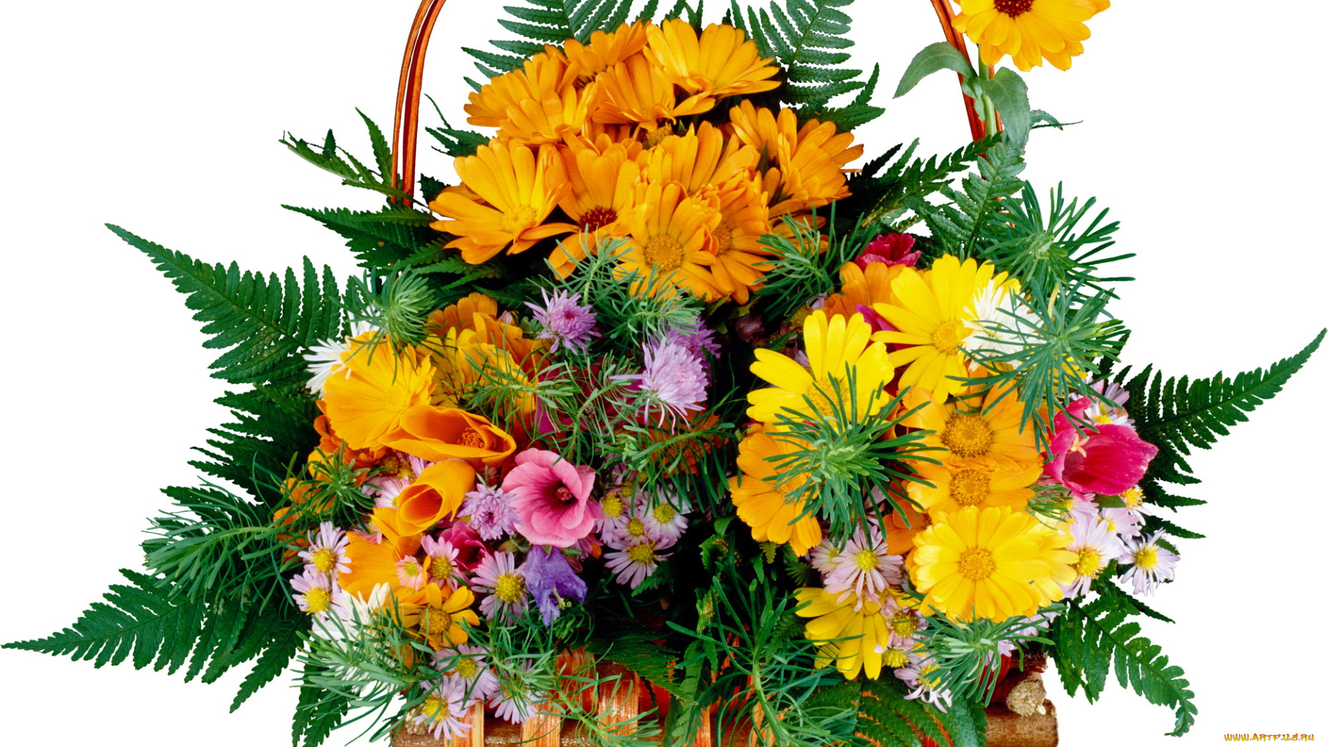 цветы, букеты, композиции, корзина