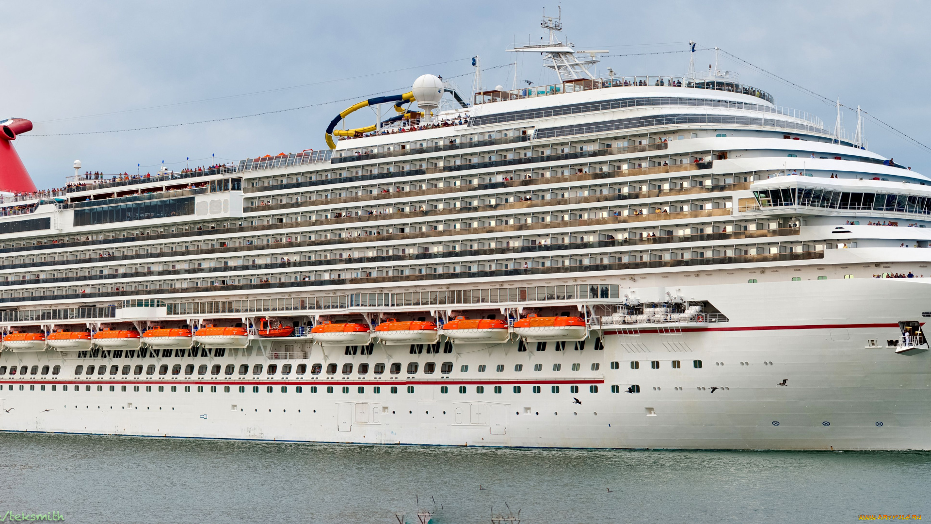 корабли, лайнеры, белый, большой, круиз