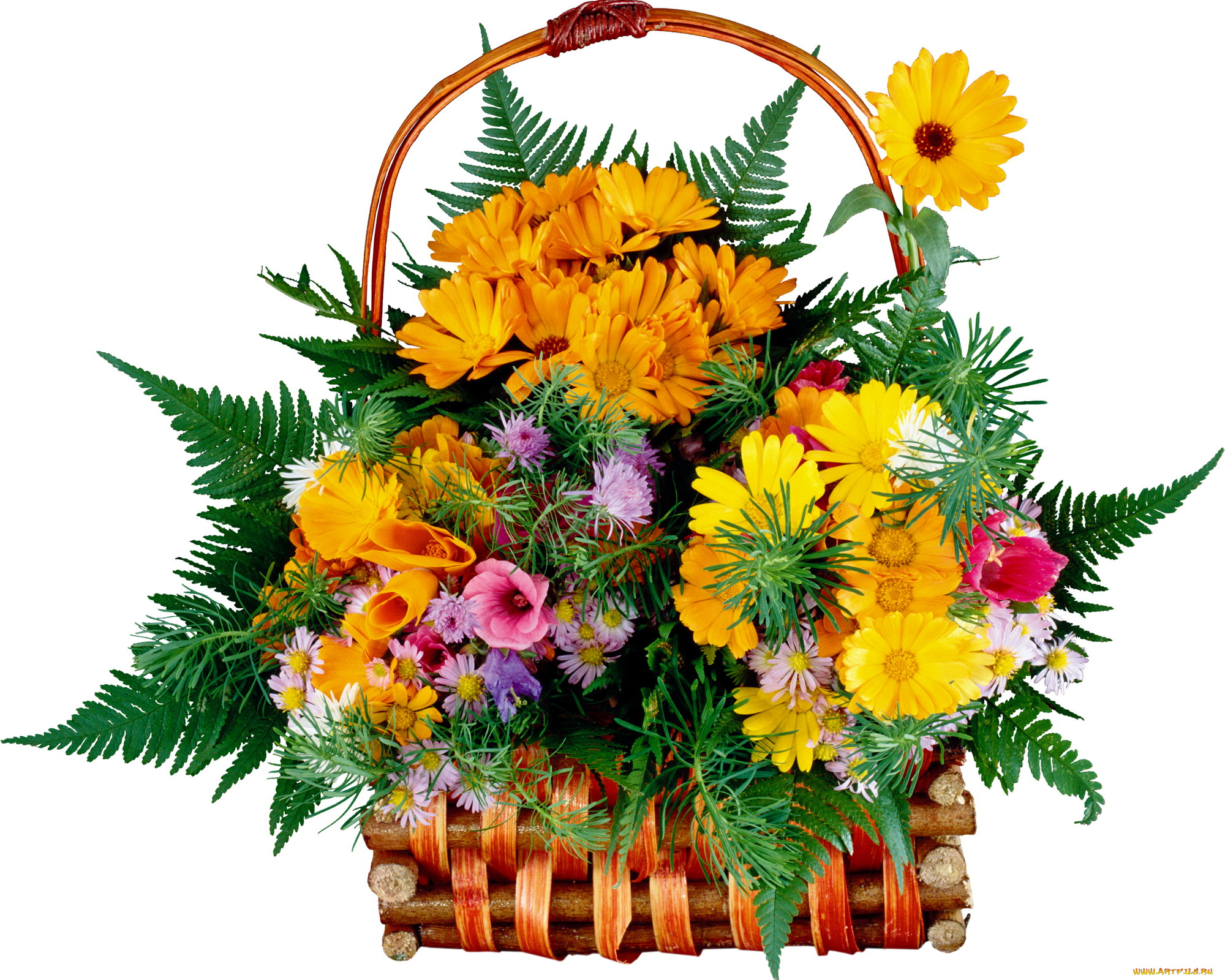 цветы, букеты, композиции, корзина