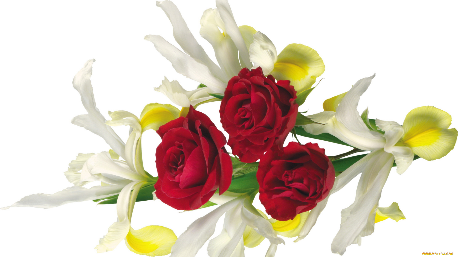 цветы, разные, вместе, лилии, розы