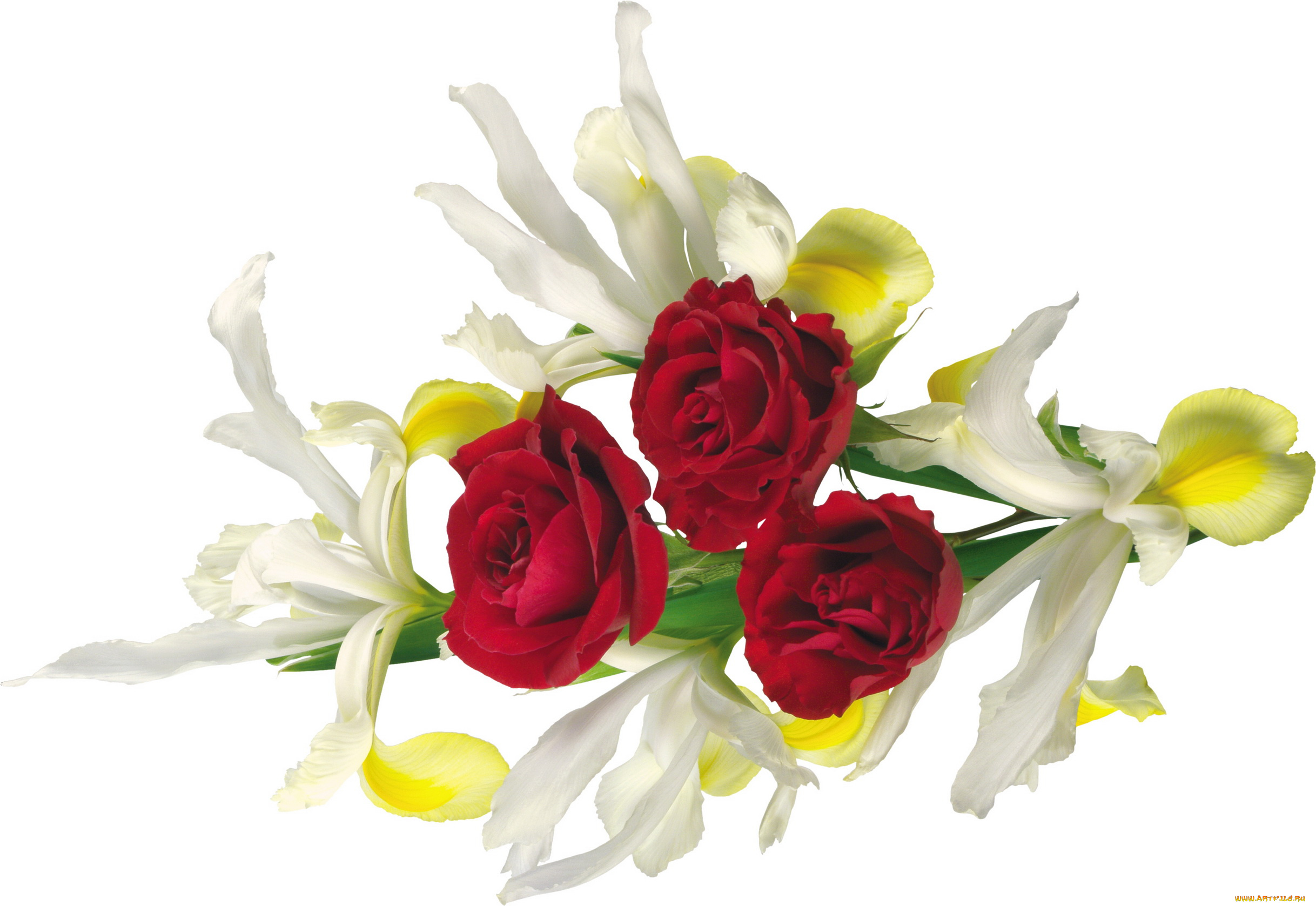 цветы, разные, вместе, лилии, розы