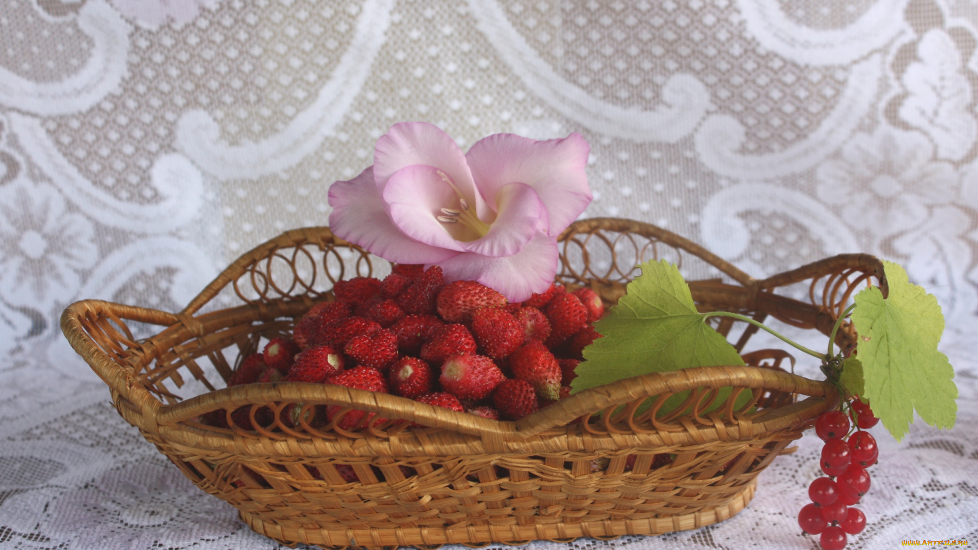 еда, фрукты, , ягоды, земляника, смородина